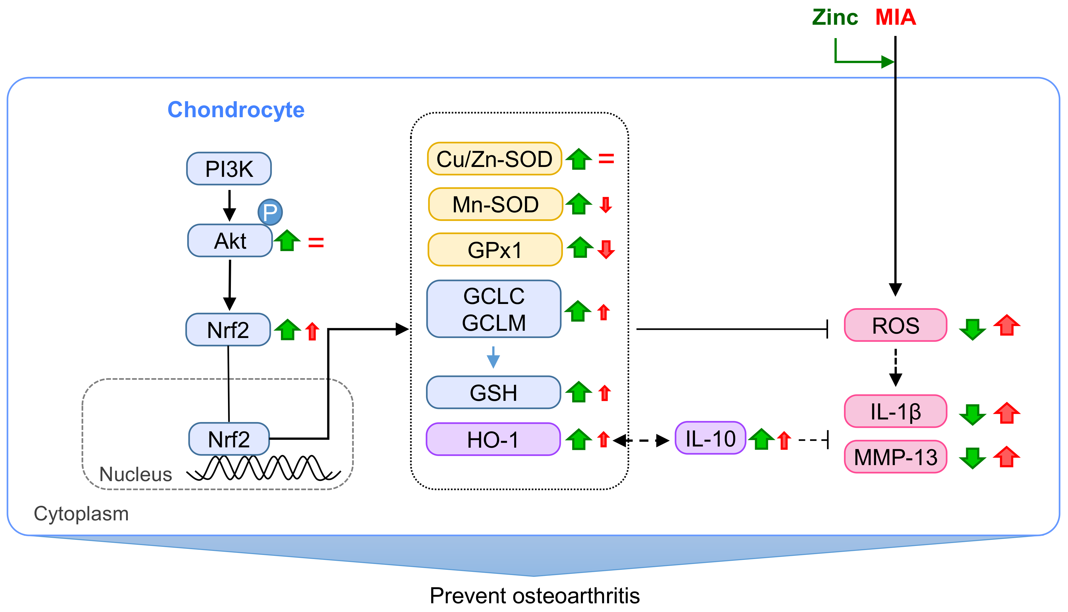 Nutrients 10 00471 g008
