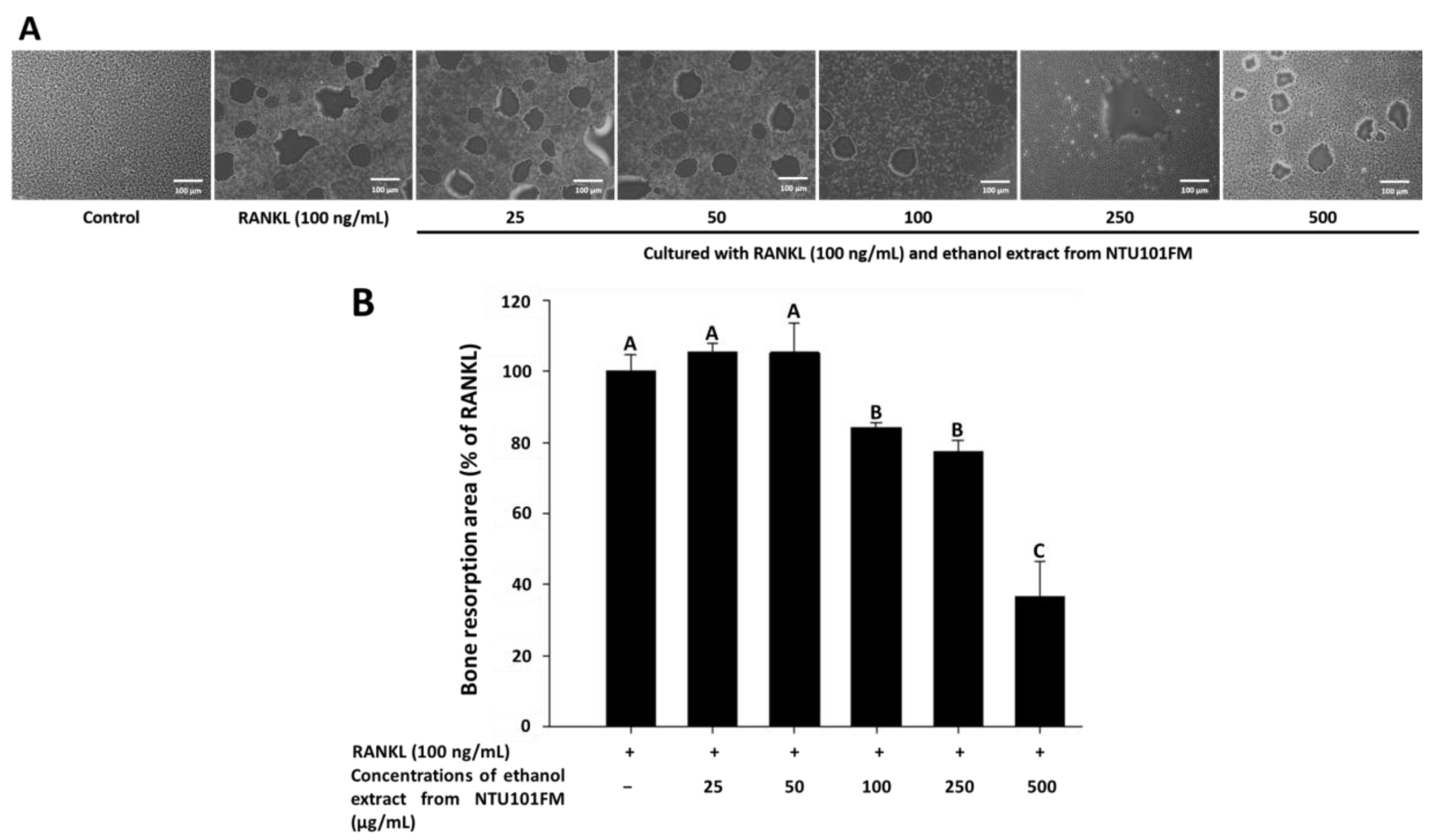 Nutrients 10 00472 g004