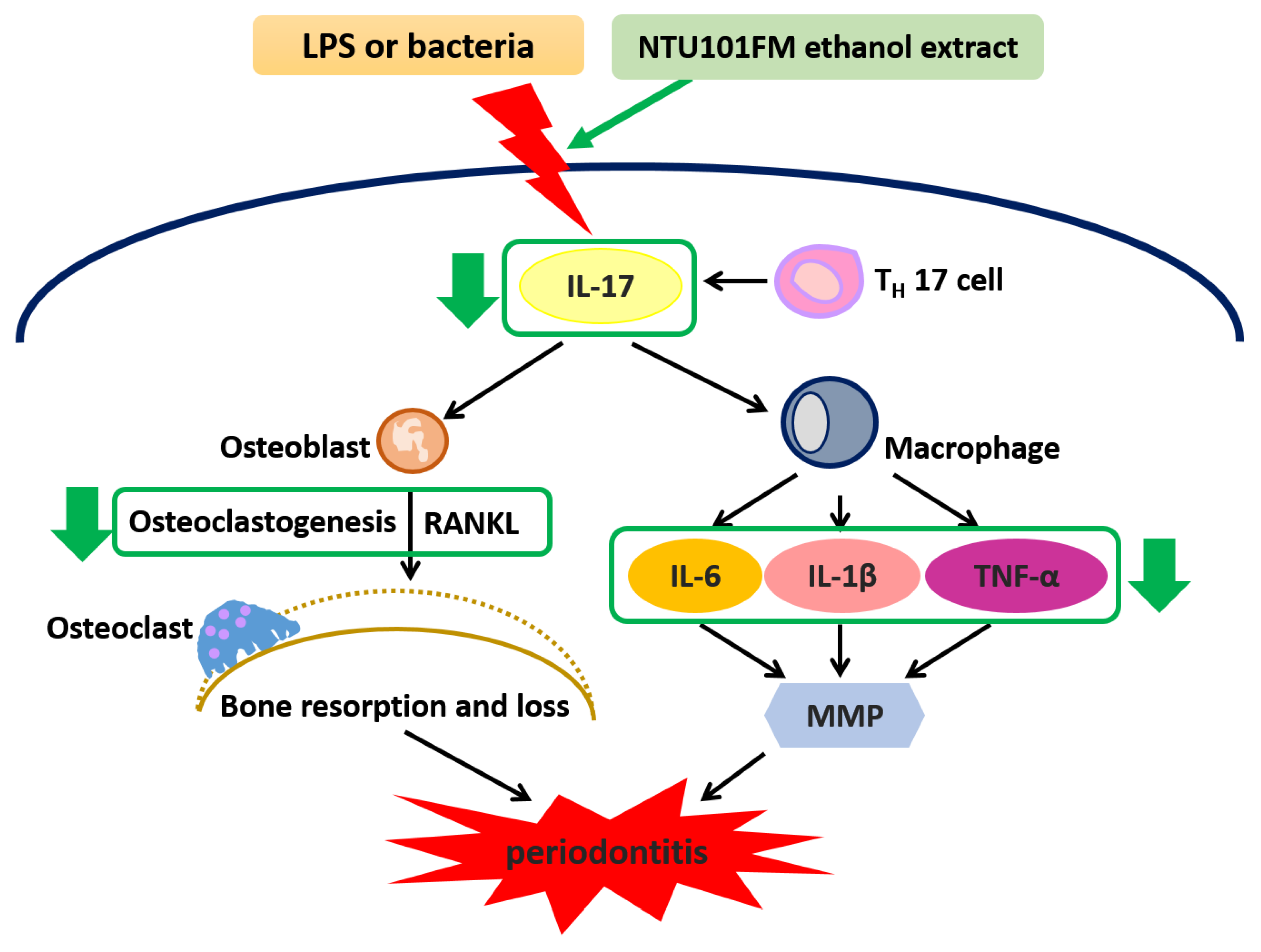Nutrients 10 00472 g005