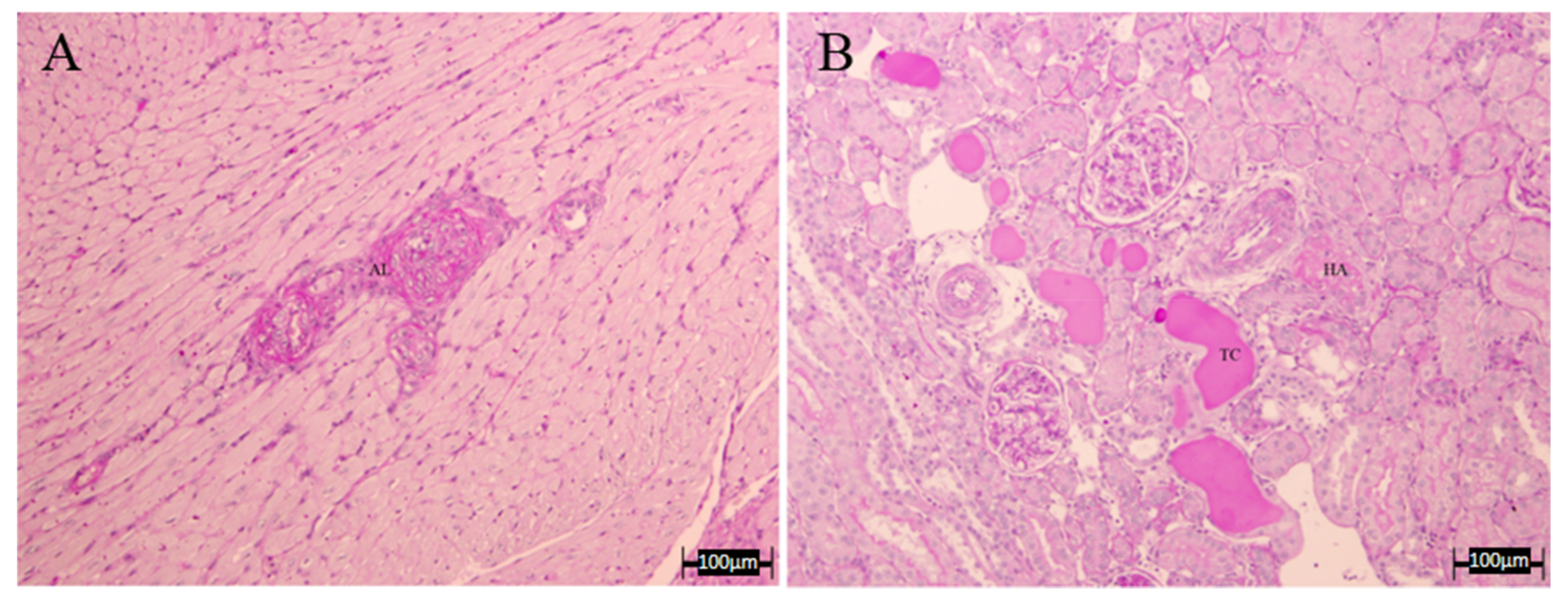 Nutrients 10 00484 g008 Nutrients 10 00484 g008
