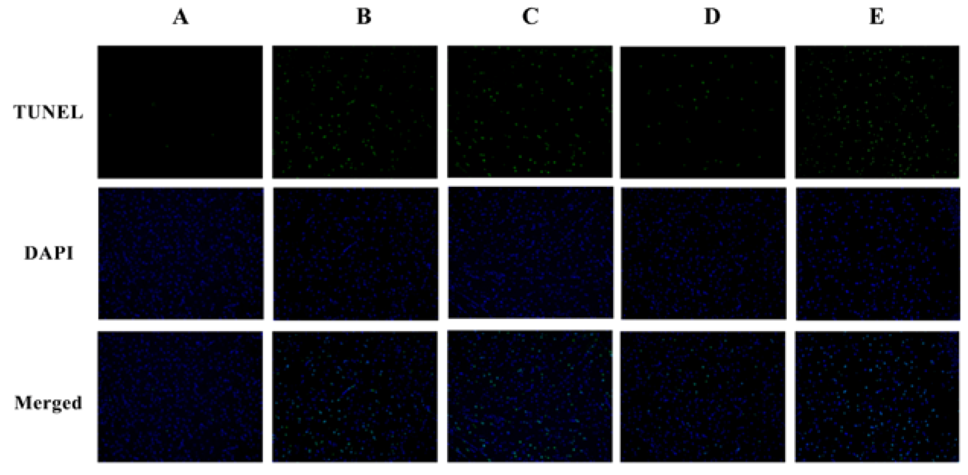 Nutrients 10 00514 g005