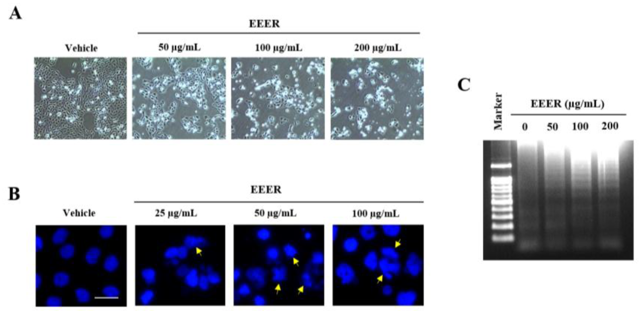 Nutrients 10 00523 g004