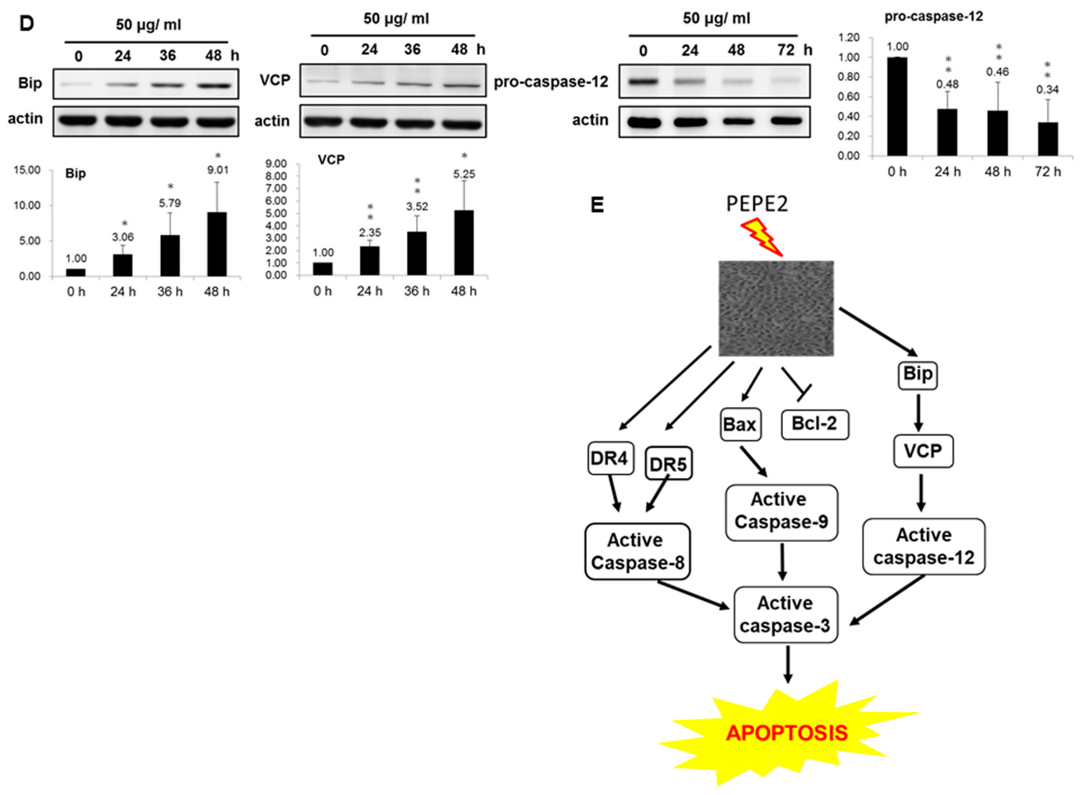 Nutrients 10 00543 g003b 550