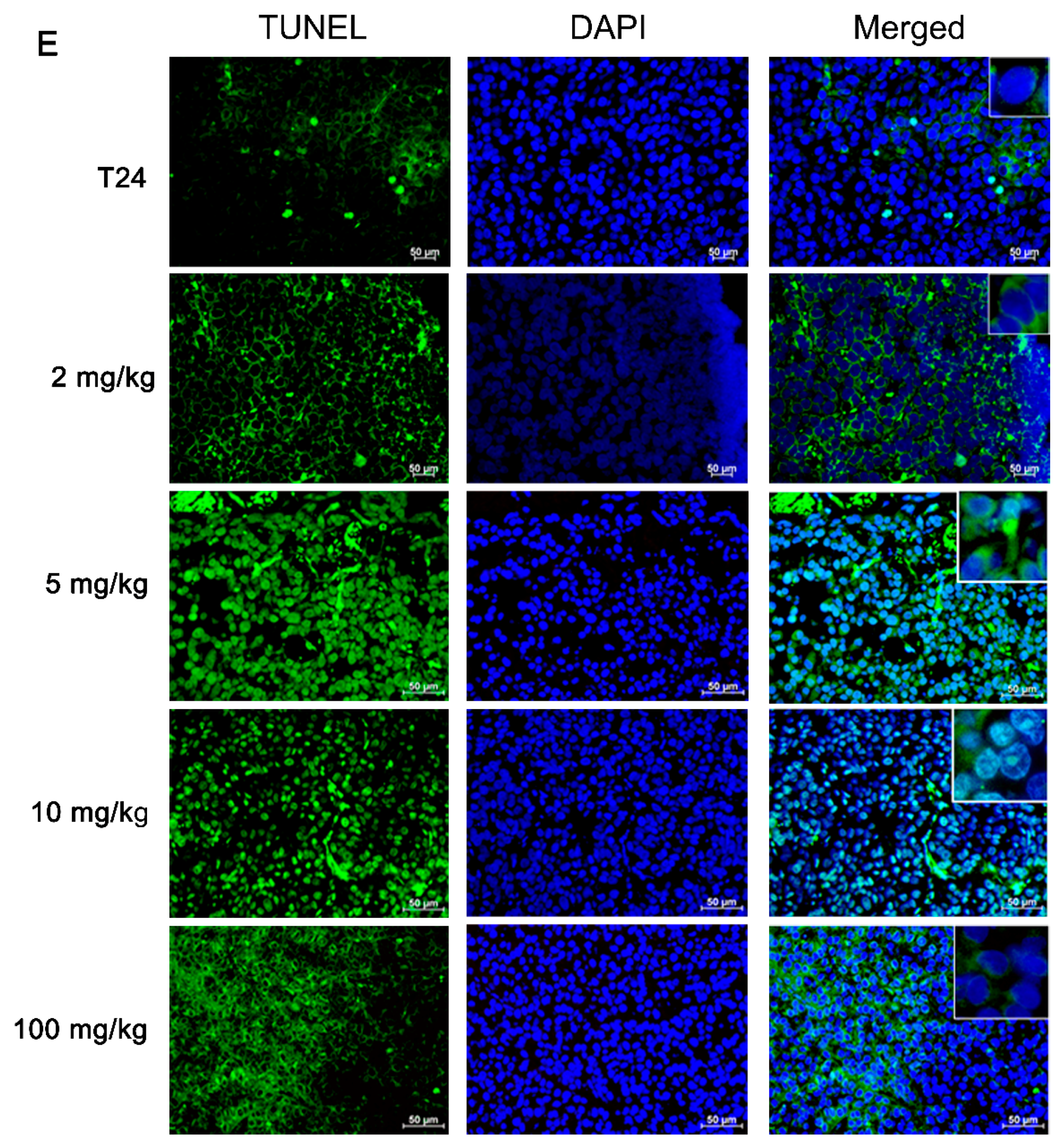 Nutrients 10 00543 g004b 550
