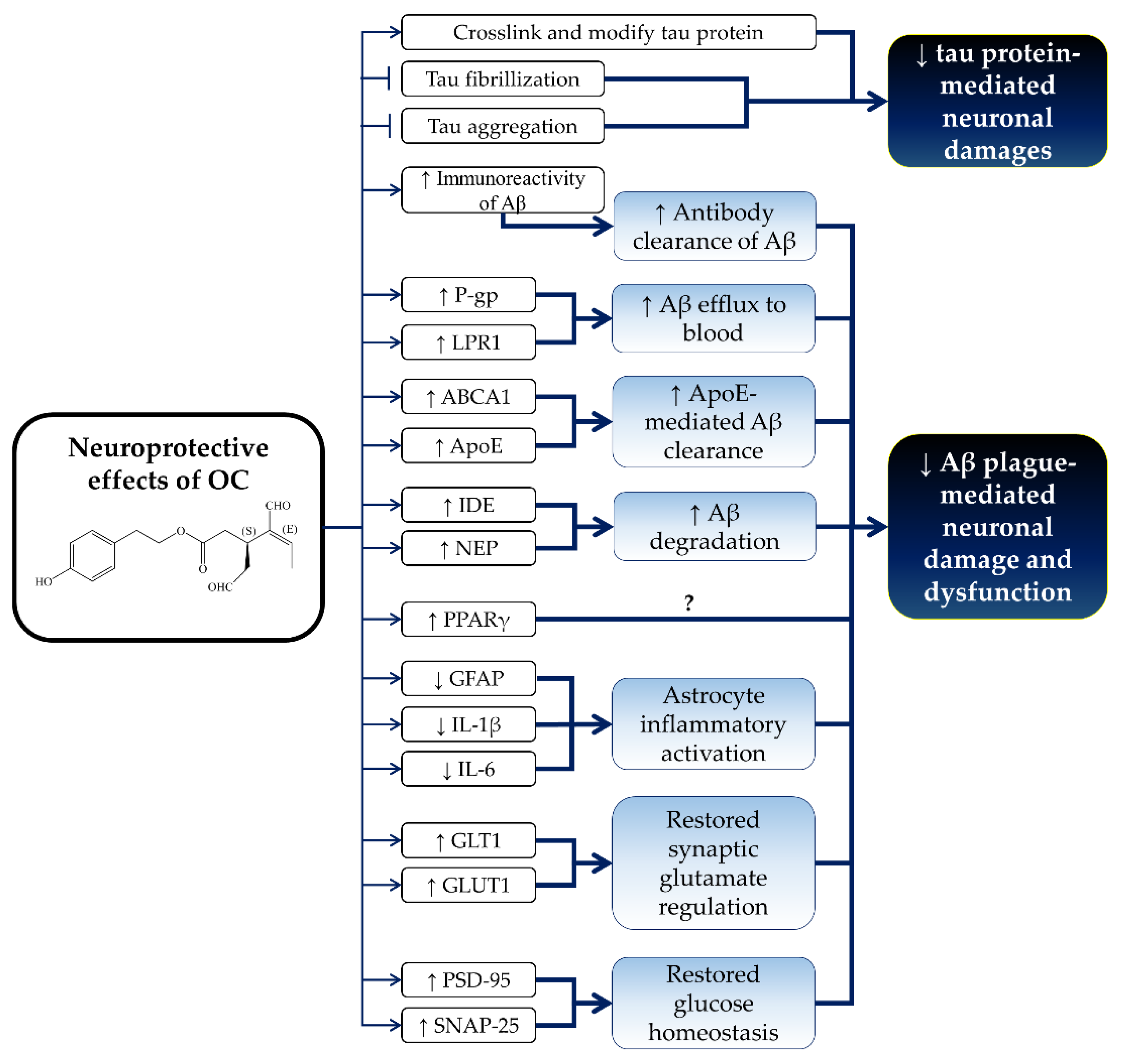 Nutrients 10 00570 g004 Nutrients 10 00570 g004
