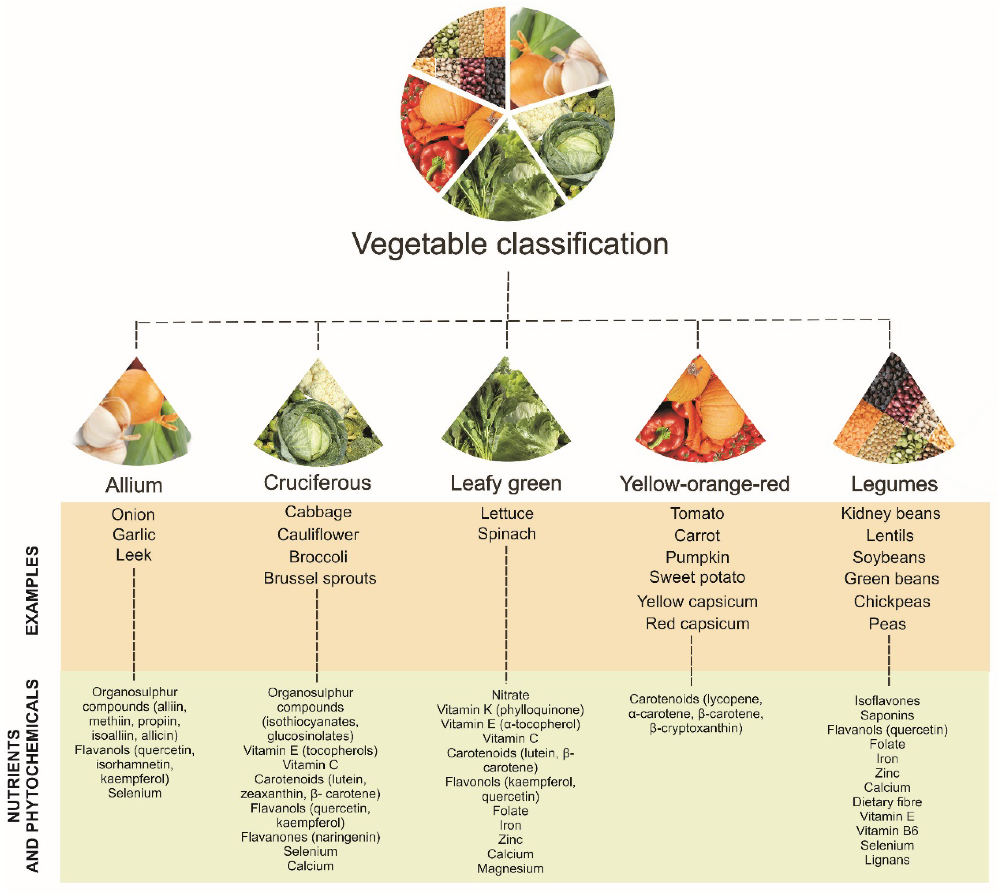 Nutrients 10 00595 g002