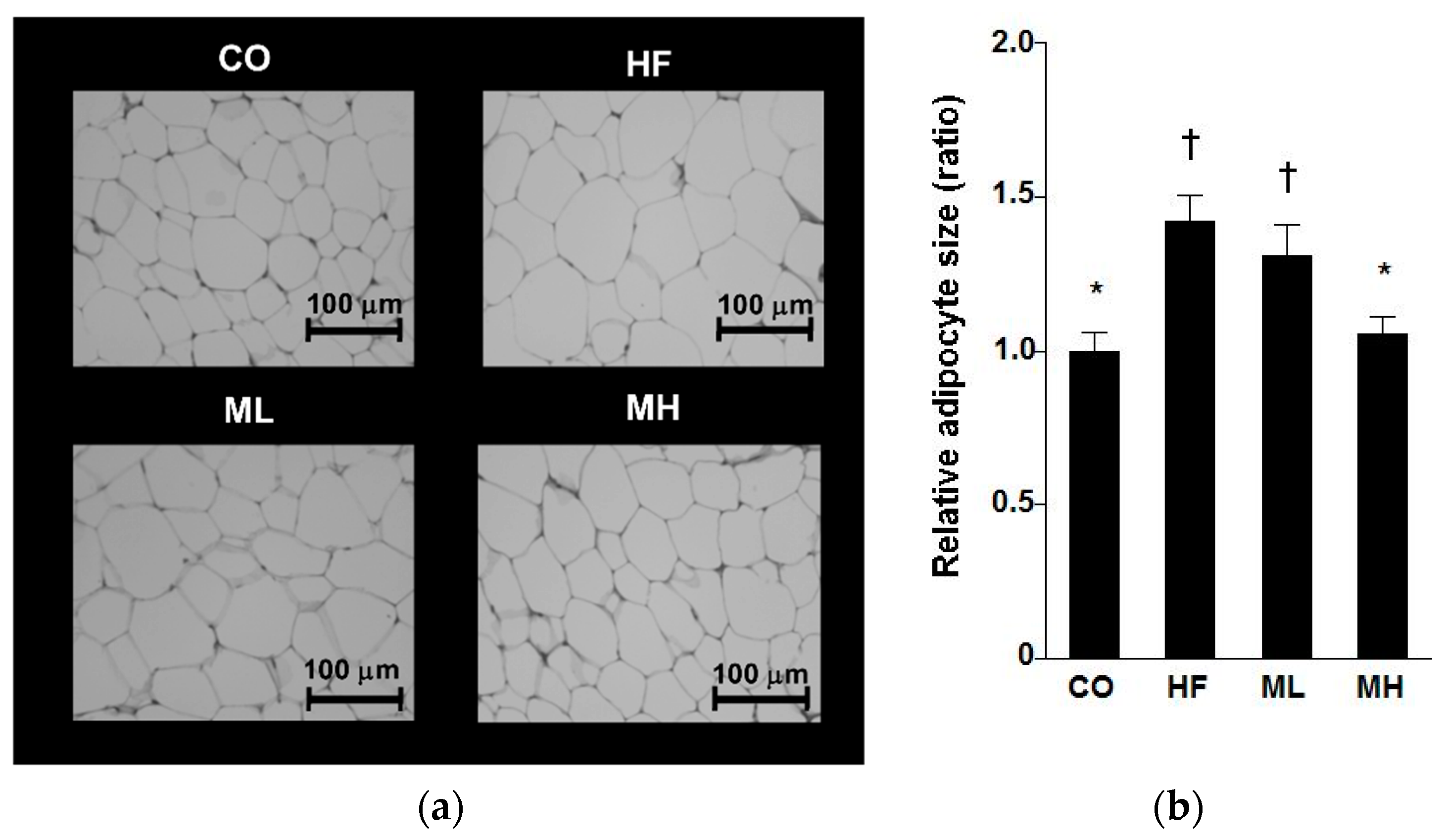 Nutrients 10 00610 g001