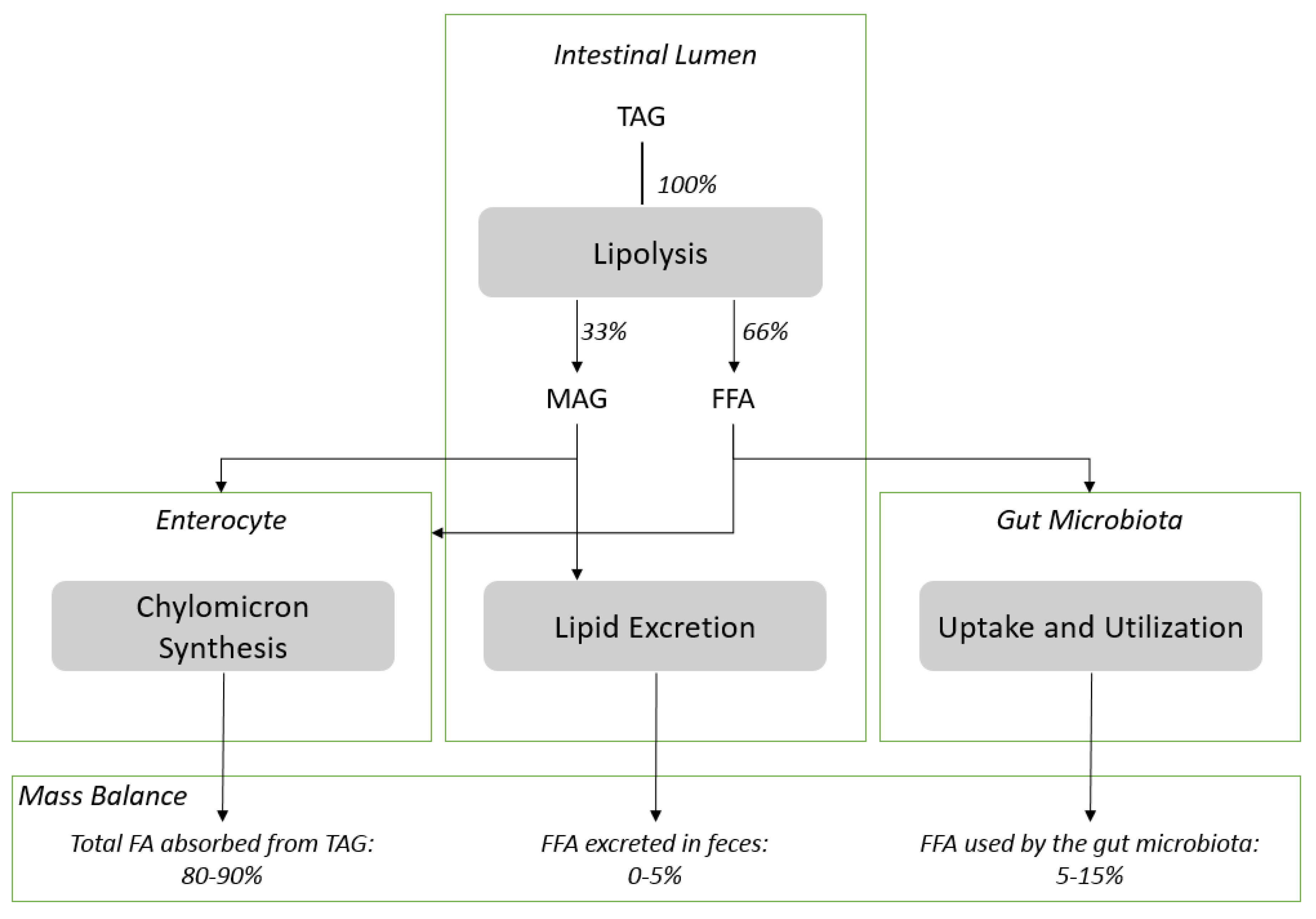 Nutrients 10 00620 g002
