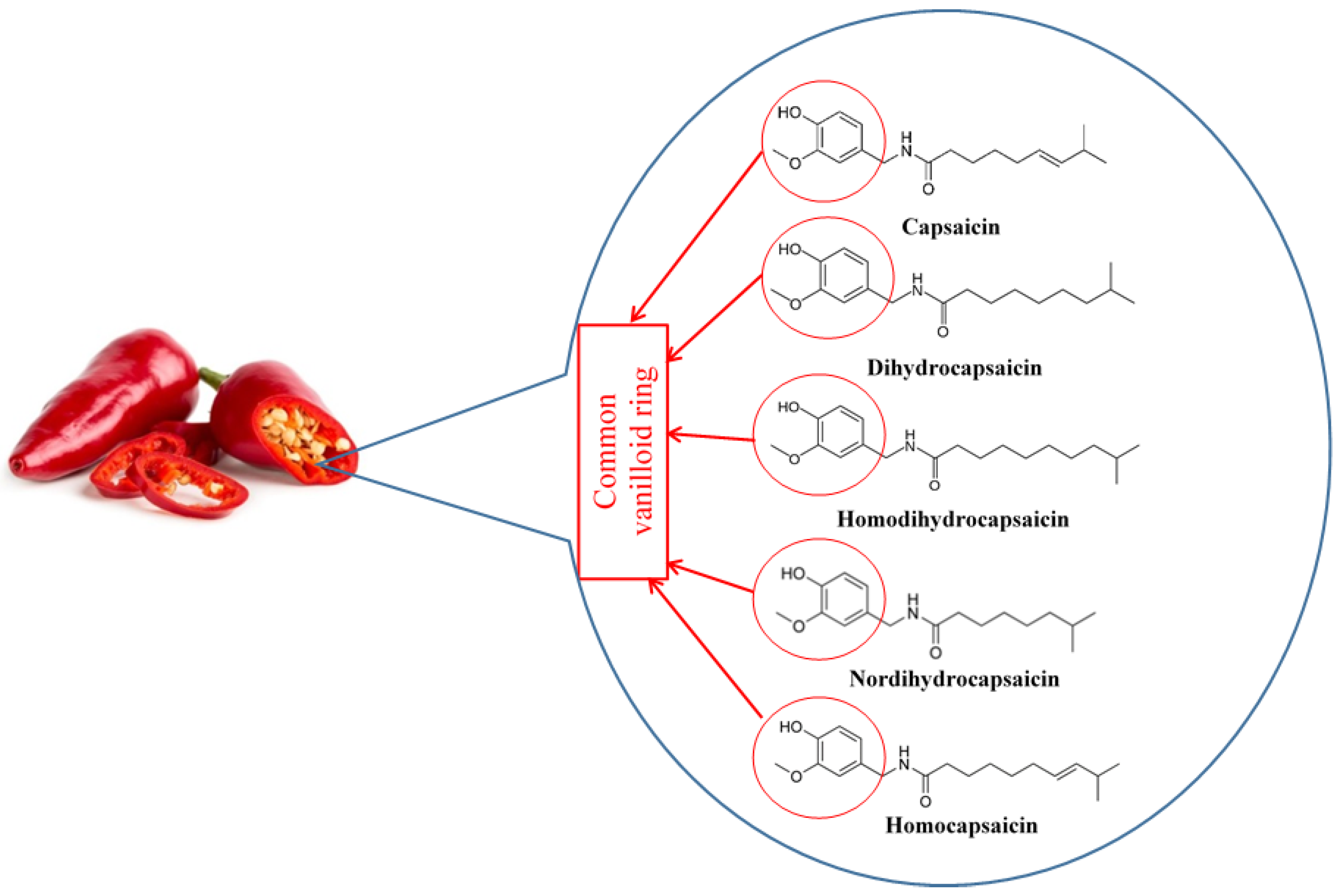 Nutrients 10 00630 g001