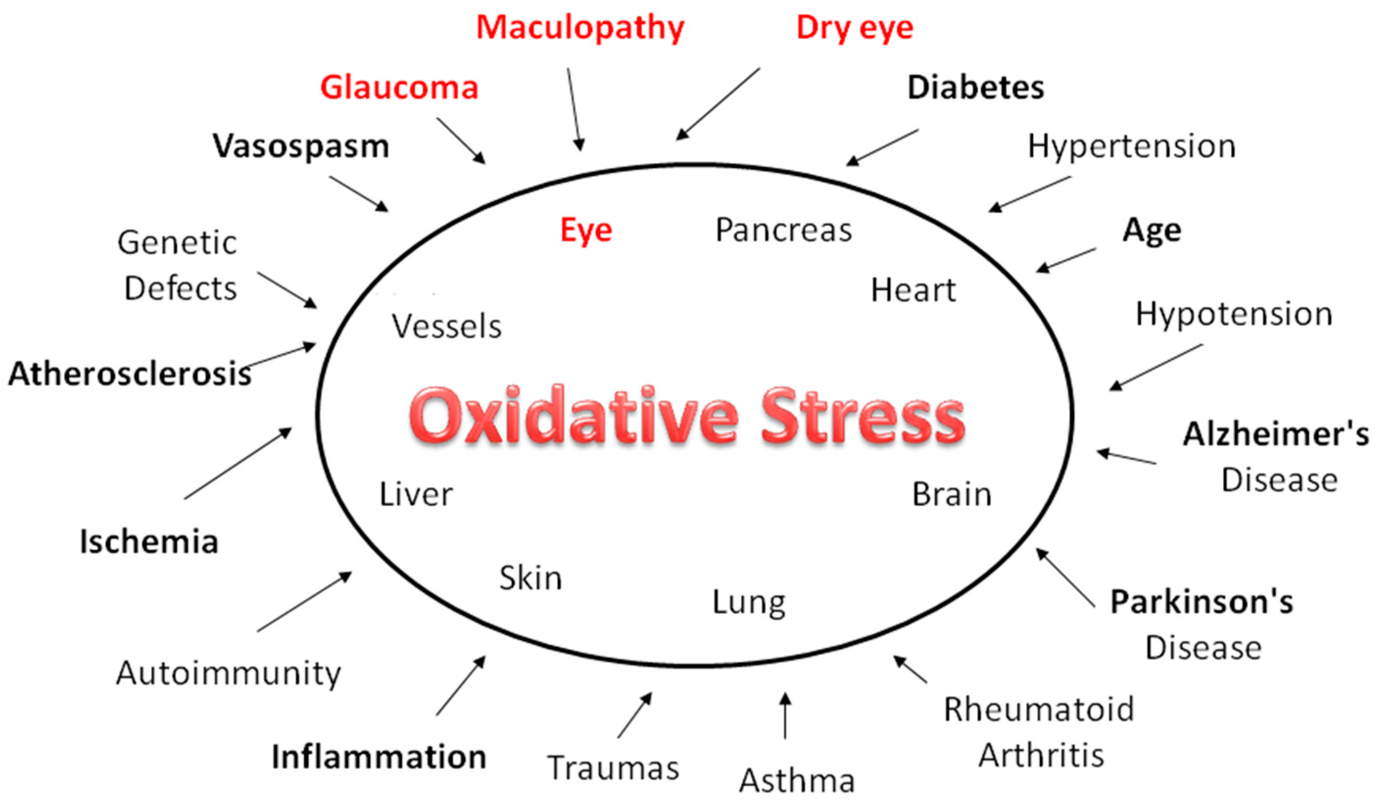 Nutrients 10 00668 g001