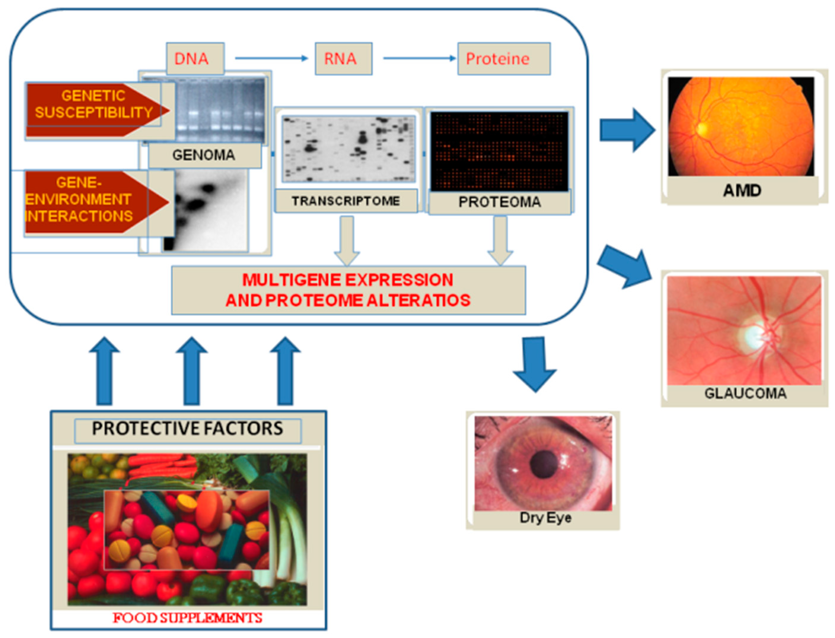 Nutrients 10 00668 g002