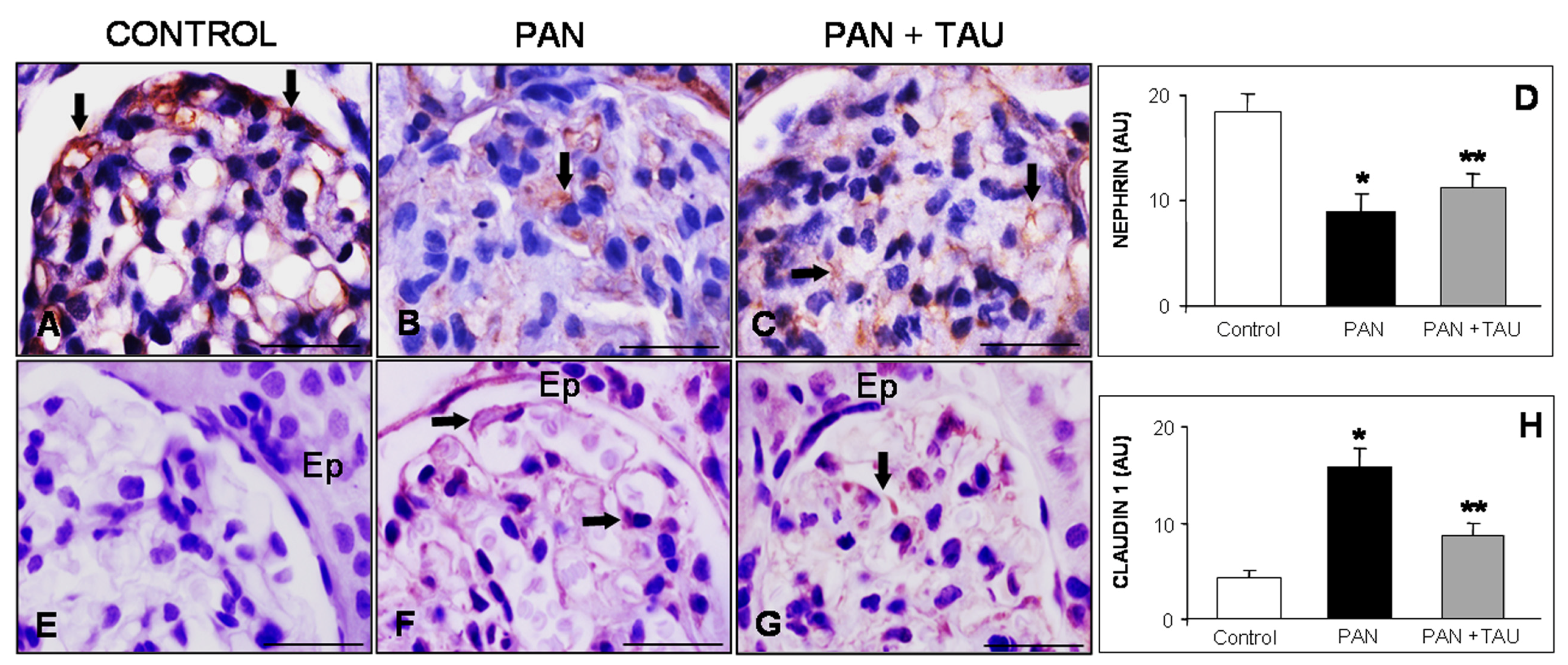 Nutrients 10 00689 g002 Nutrients 10 00689 g002