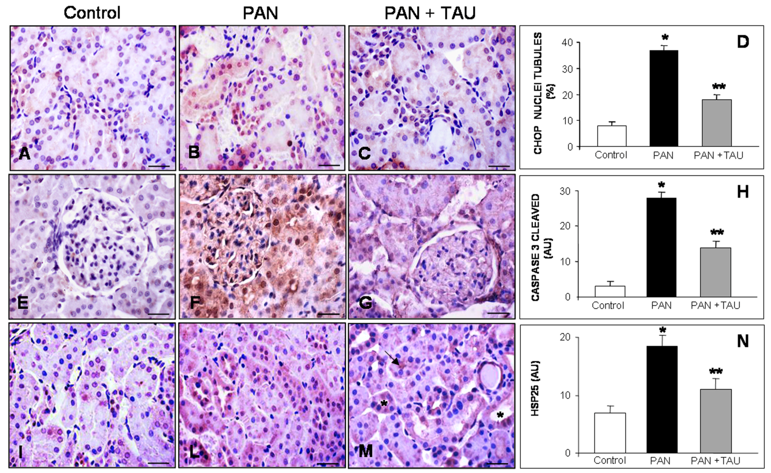 Nutrients 10 00689 g004 Nutrients 10 00689 g004