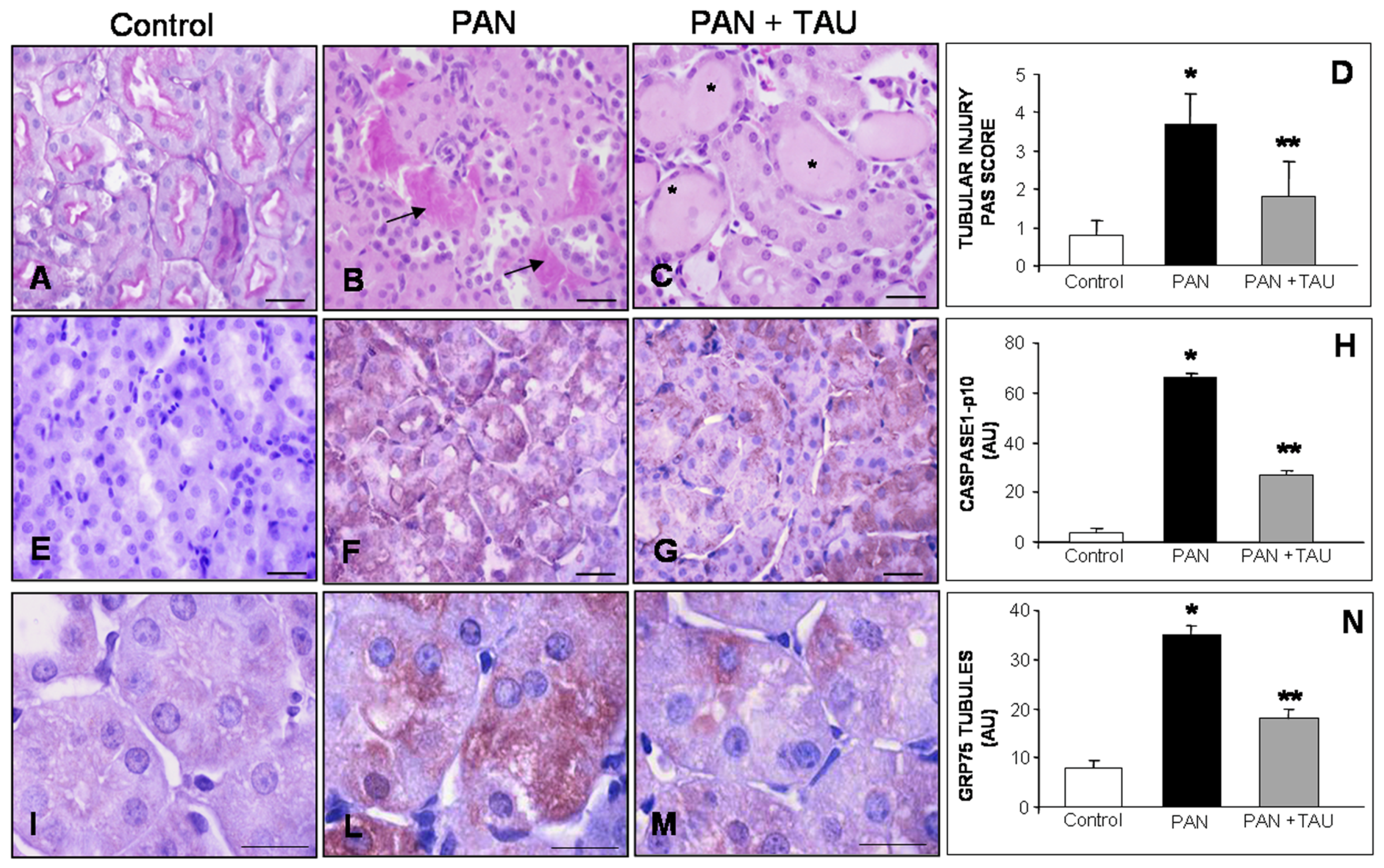 Nutrients 10 00689 g005 Nutrients 10 00689 g005