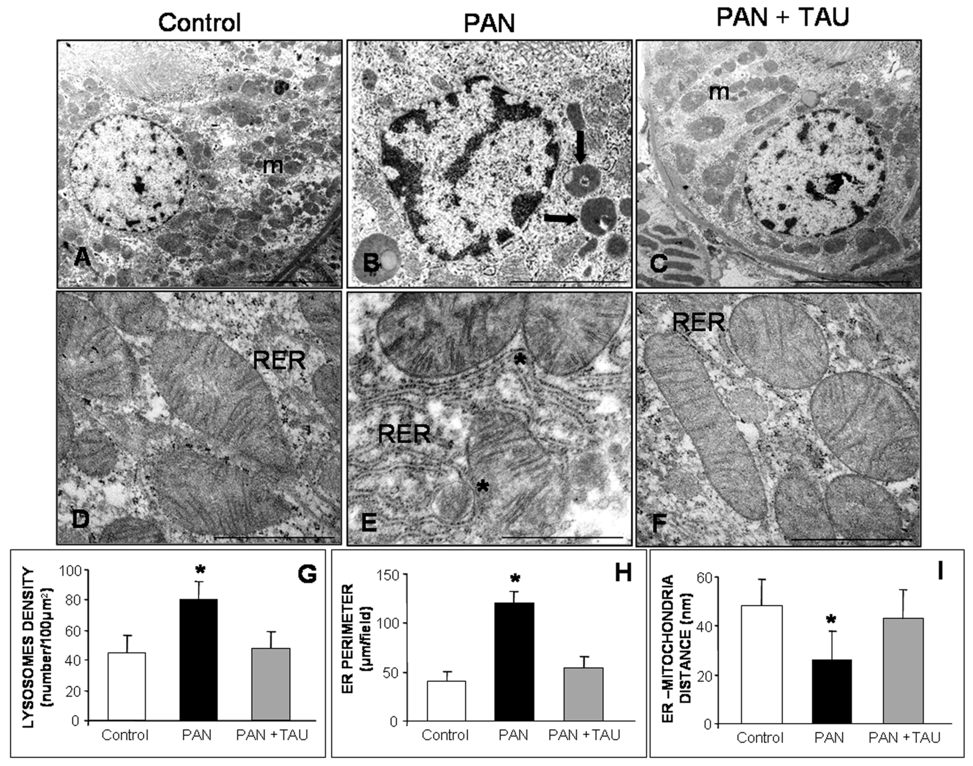 Nutrients 10 00689 g006 Nutrients 10 00689 g006