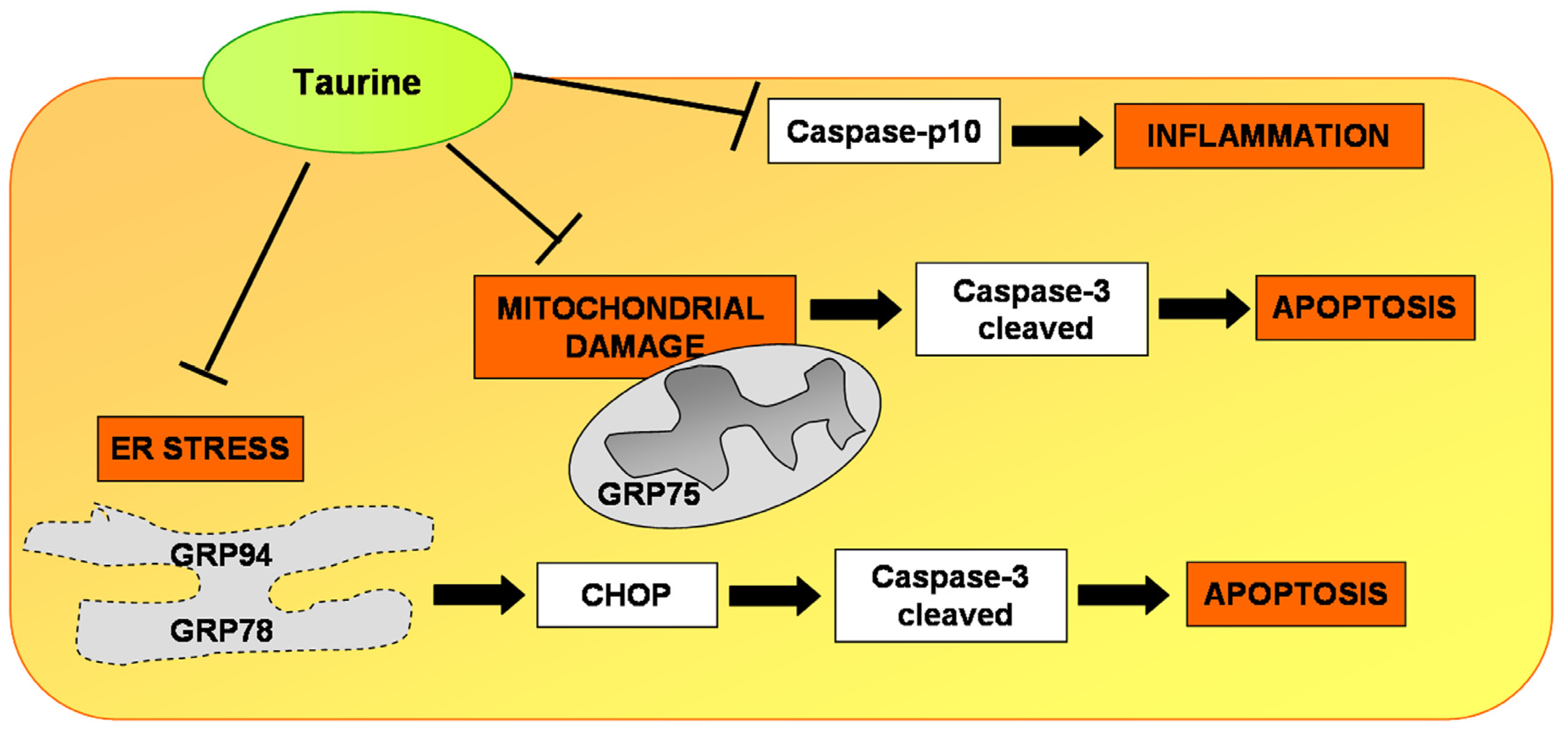 Nutrients 10 00689 g007 Nutrients 10 00689 g007