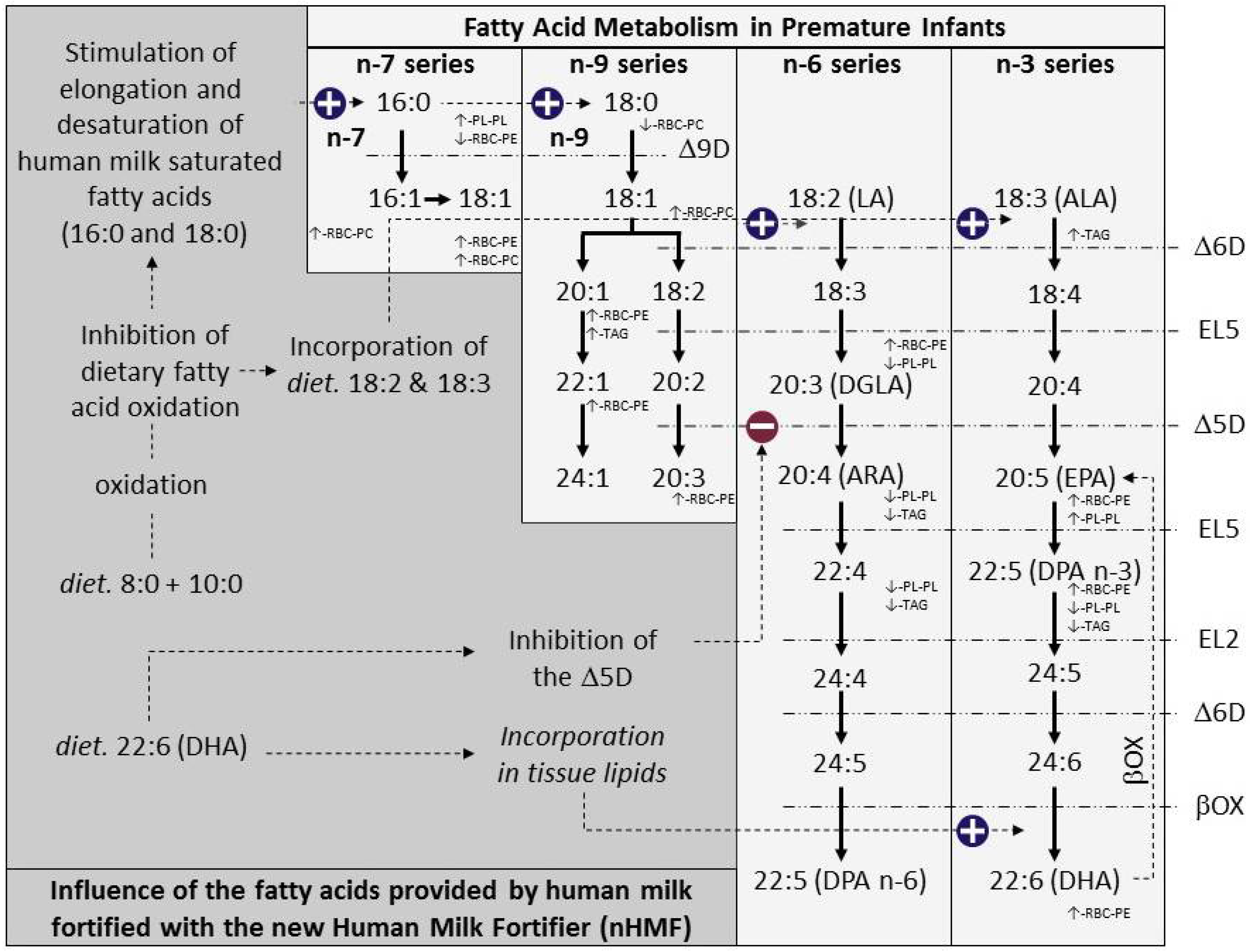 Nutrients 10 00690 g001