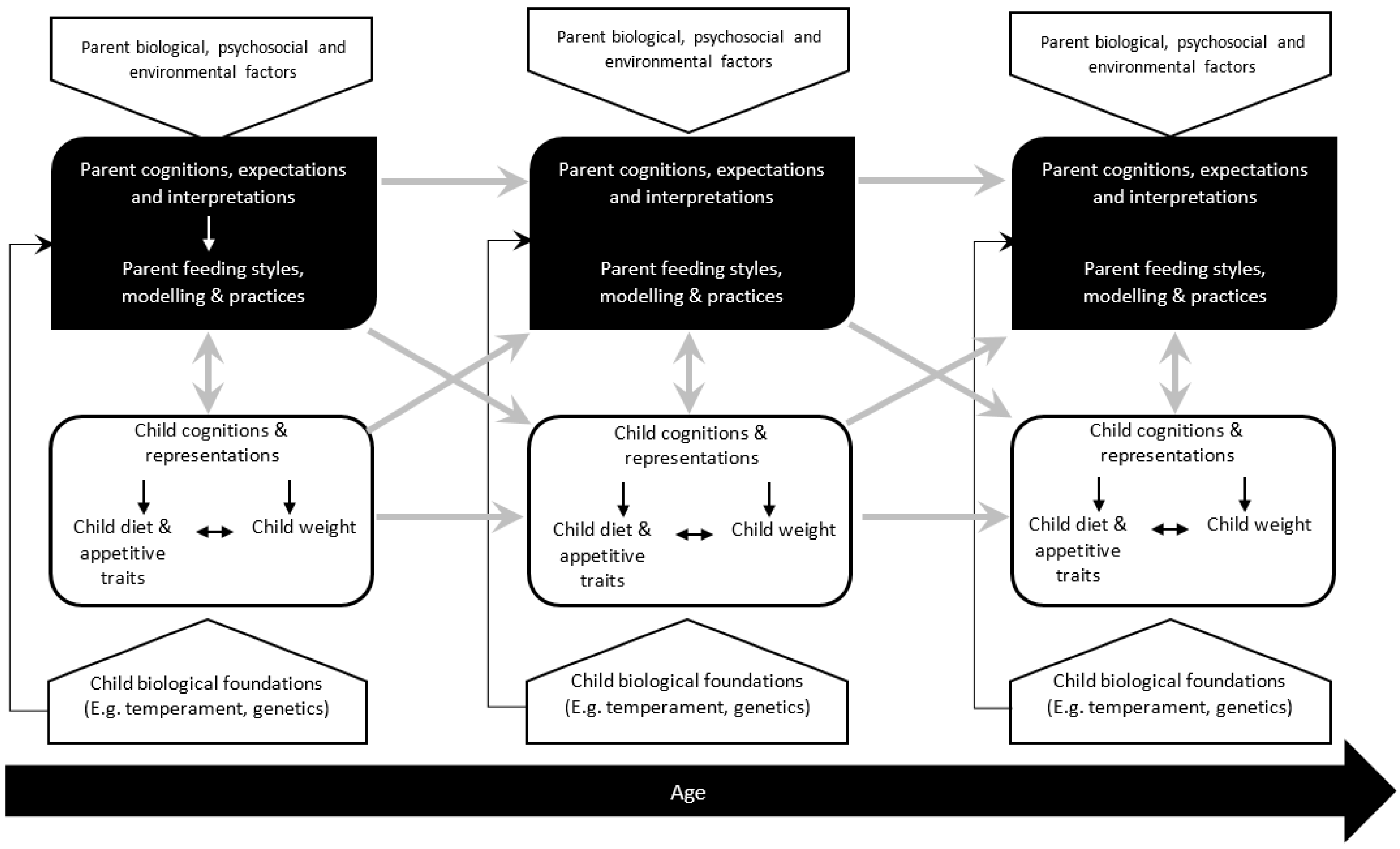 PDF) Biological maturation influences selection process in youth