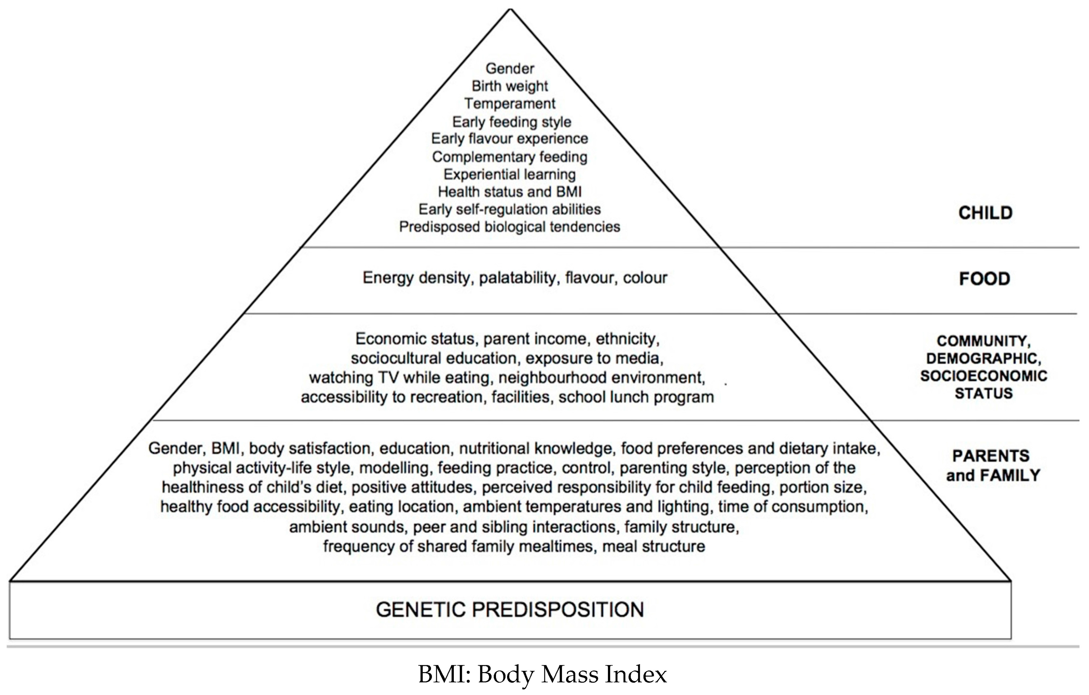 Food Hierarchy: The Hierarchy of Nutrition Needs — Registered