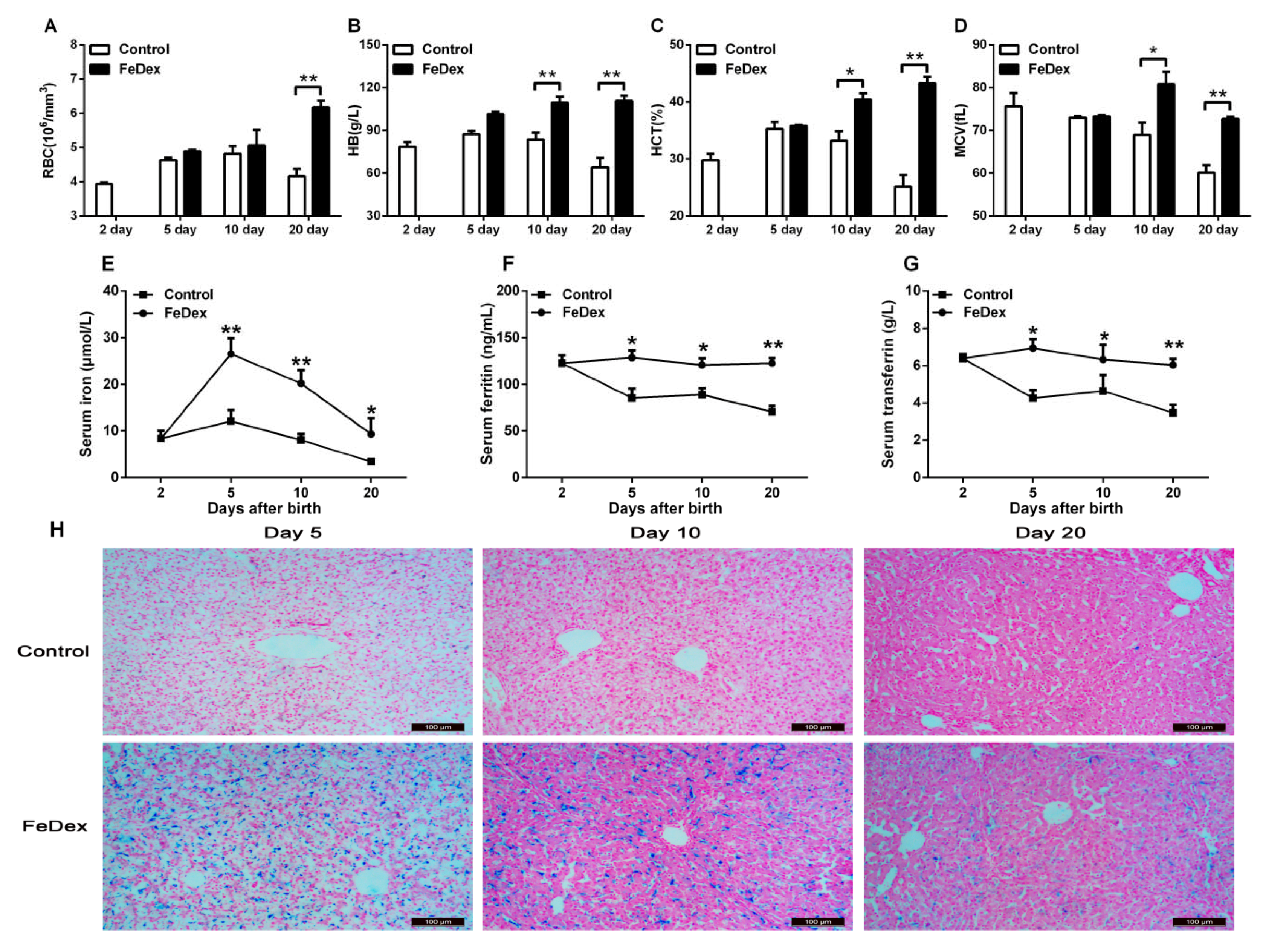 Nutrients 10 00726 g001 Nutrients 10 00726 g001