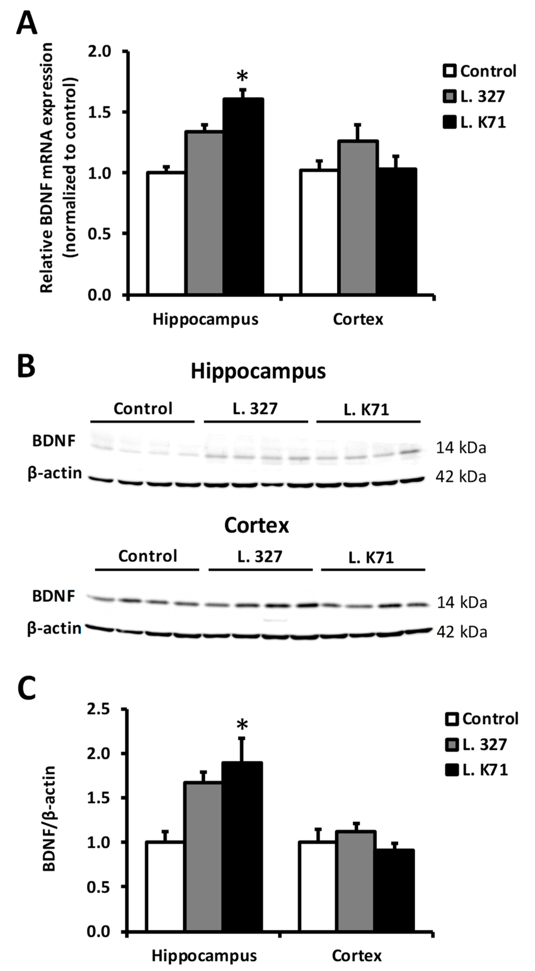Nutrients 10 00762 g005 Nutrients 10 00762 g005
