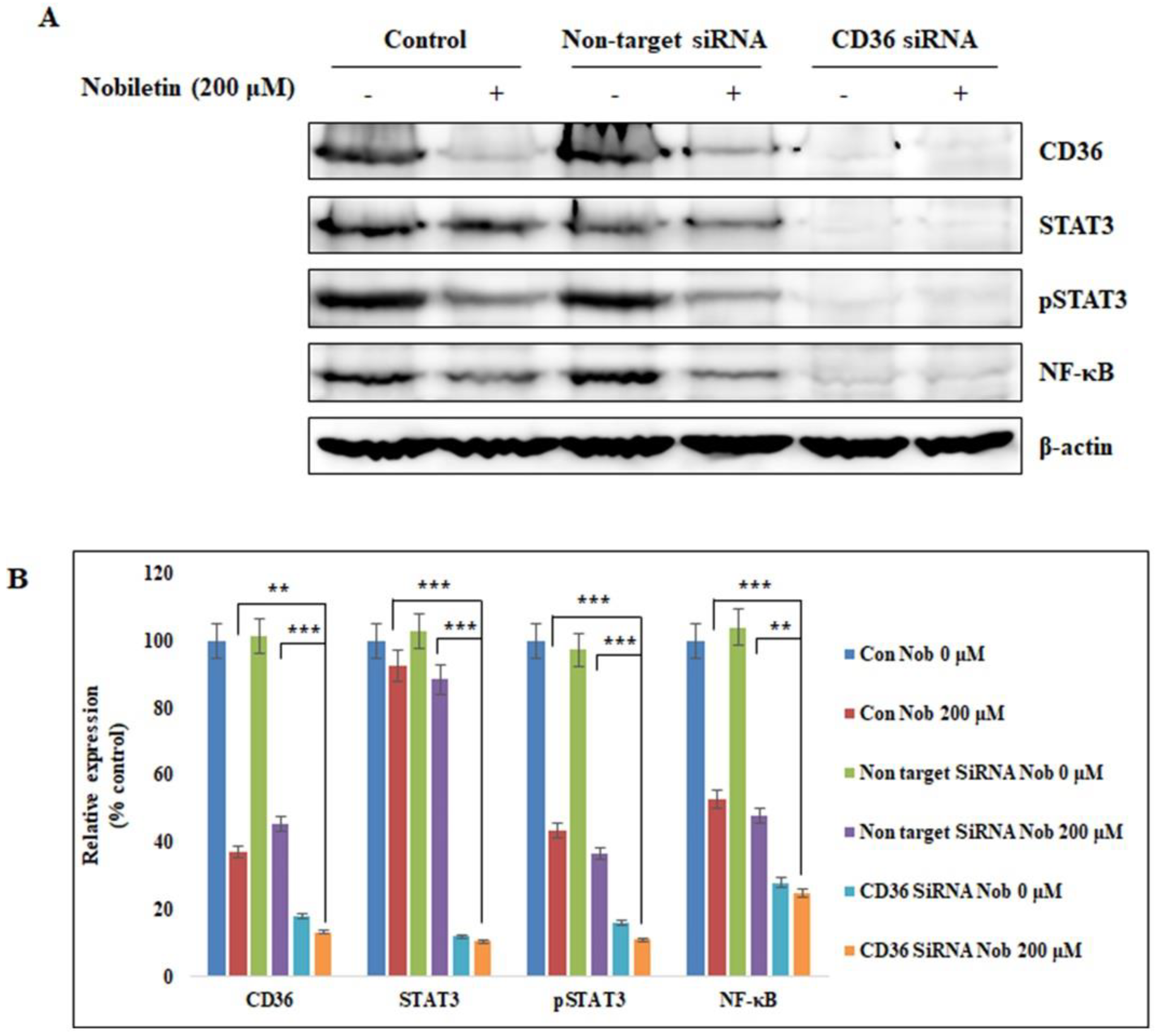 Nutrients 10 00772 g004