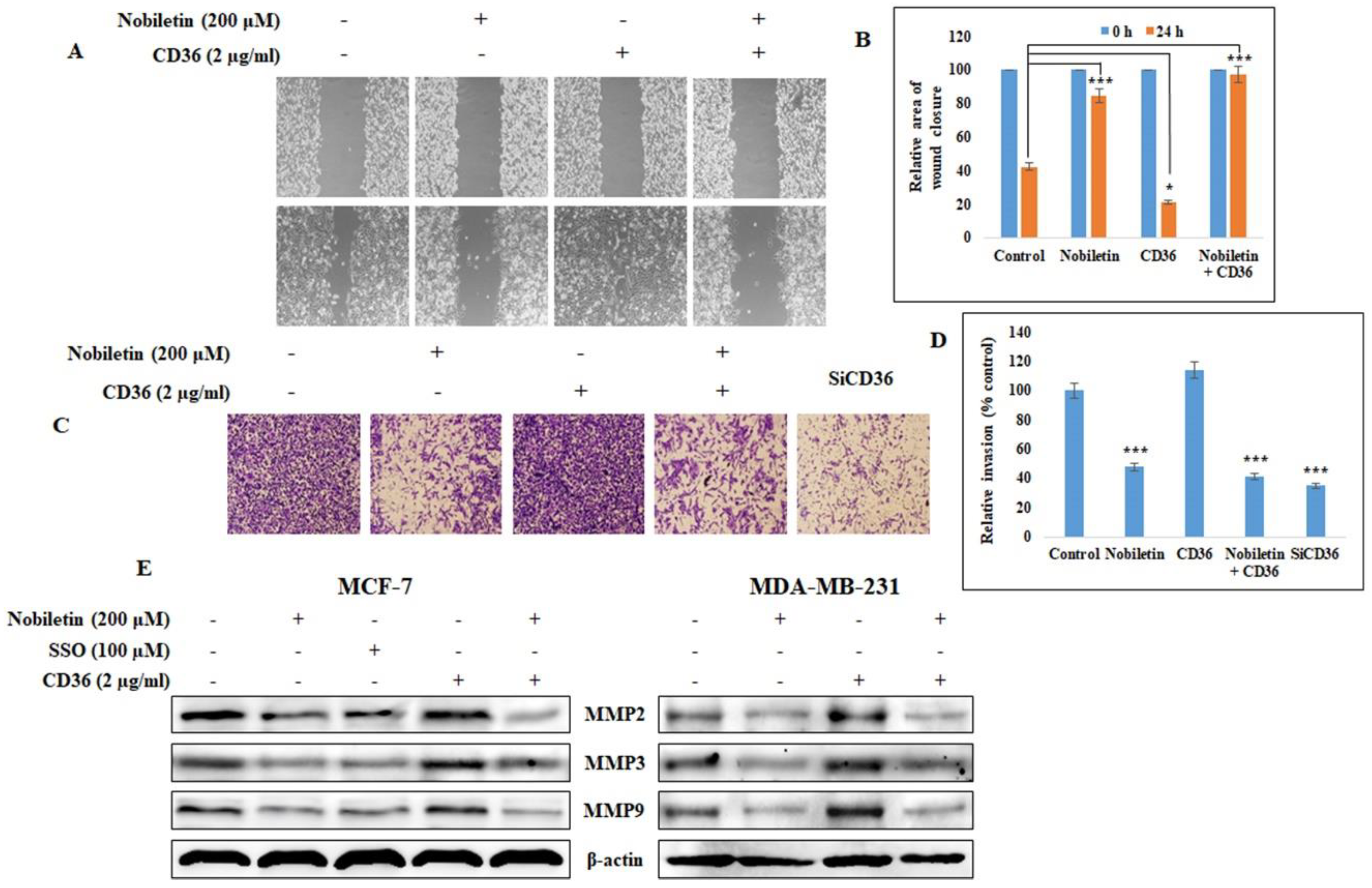 Nutrients 10 00772 g005