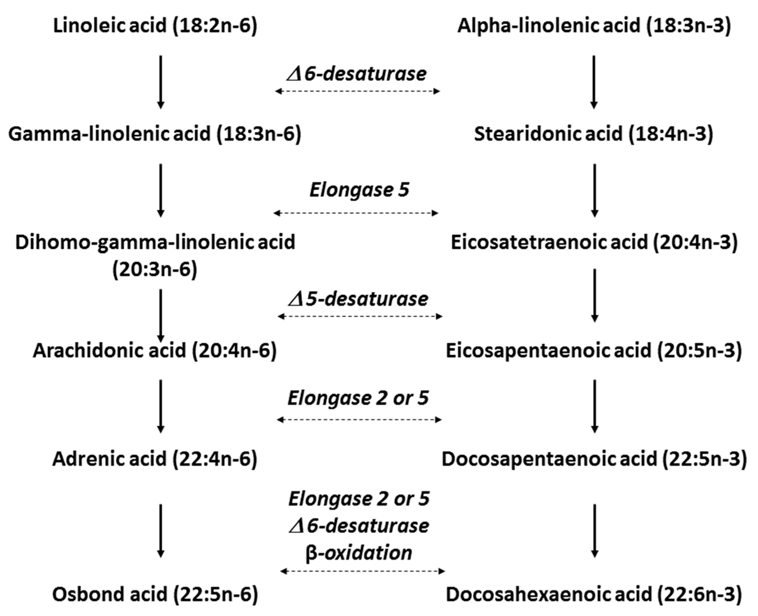 Nutrients 10 00775 g001