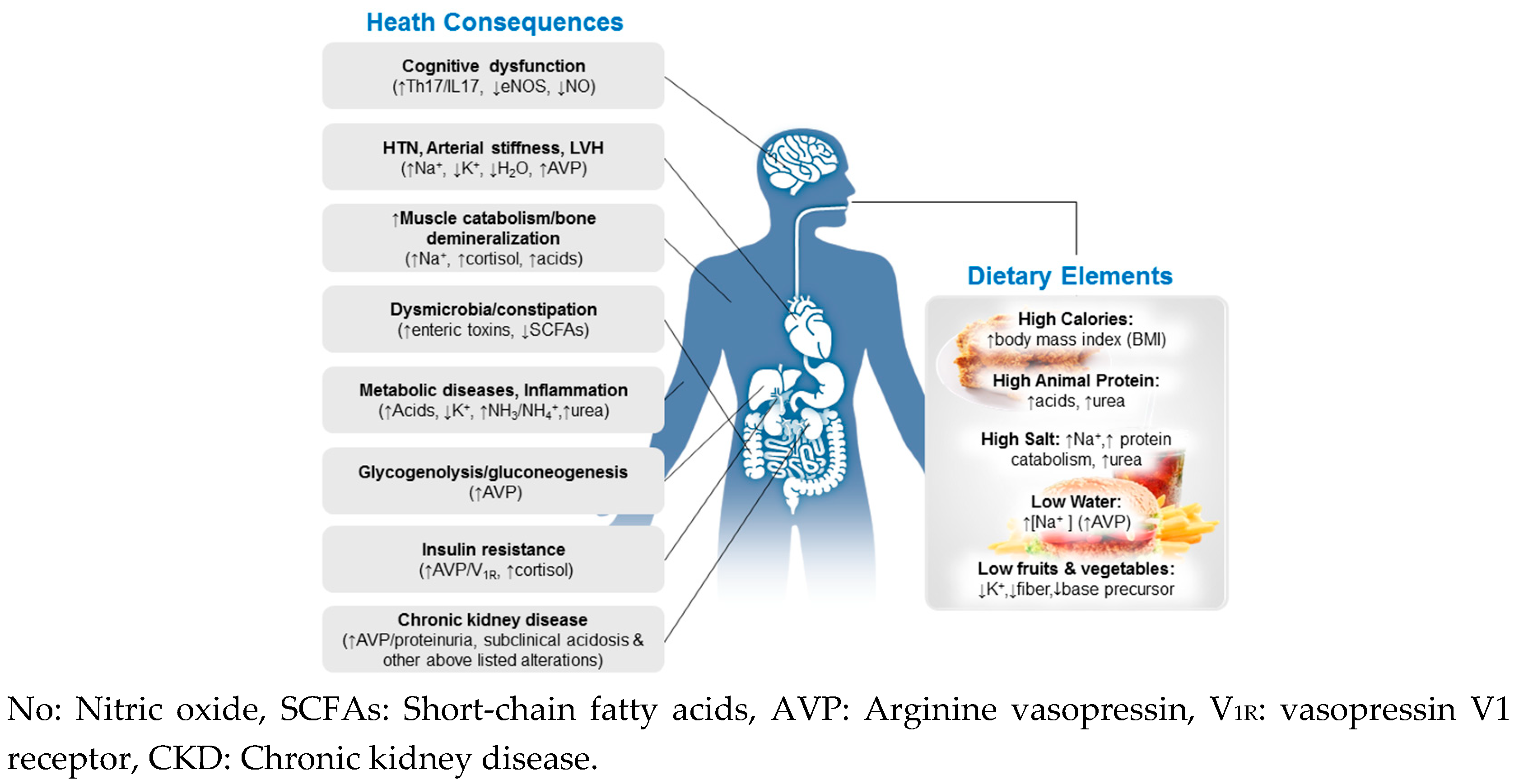 acid base balance in body