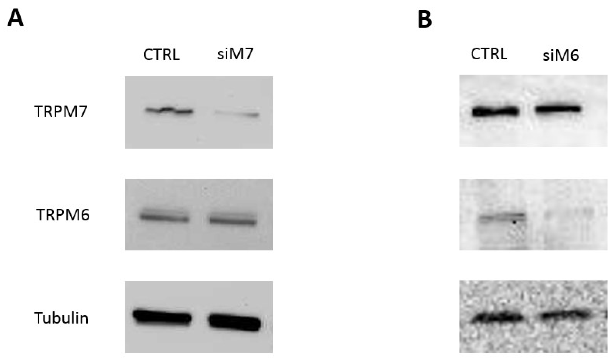 Nutrients 10 00784 g002