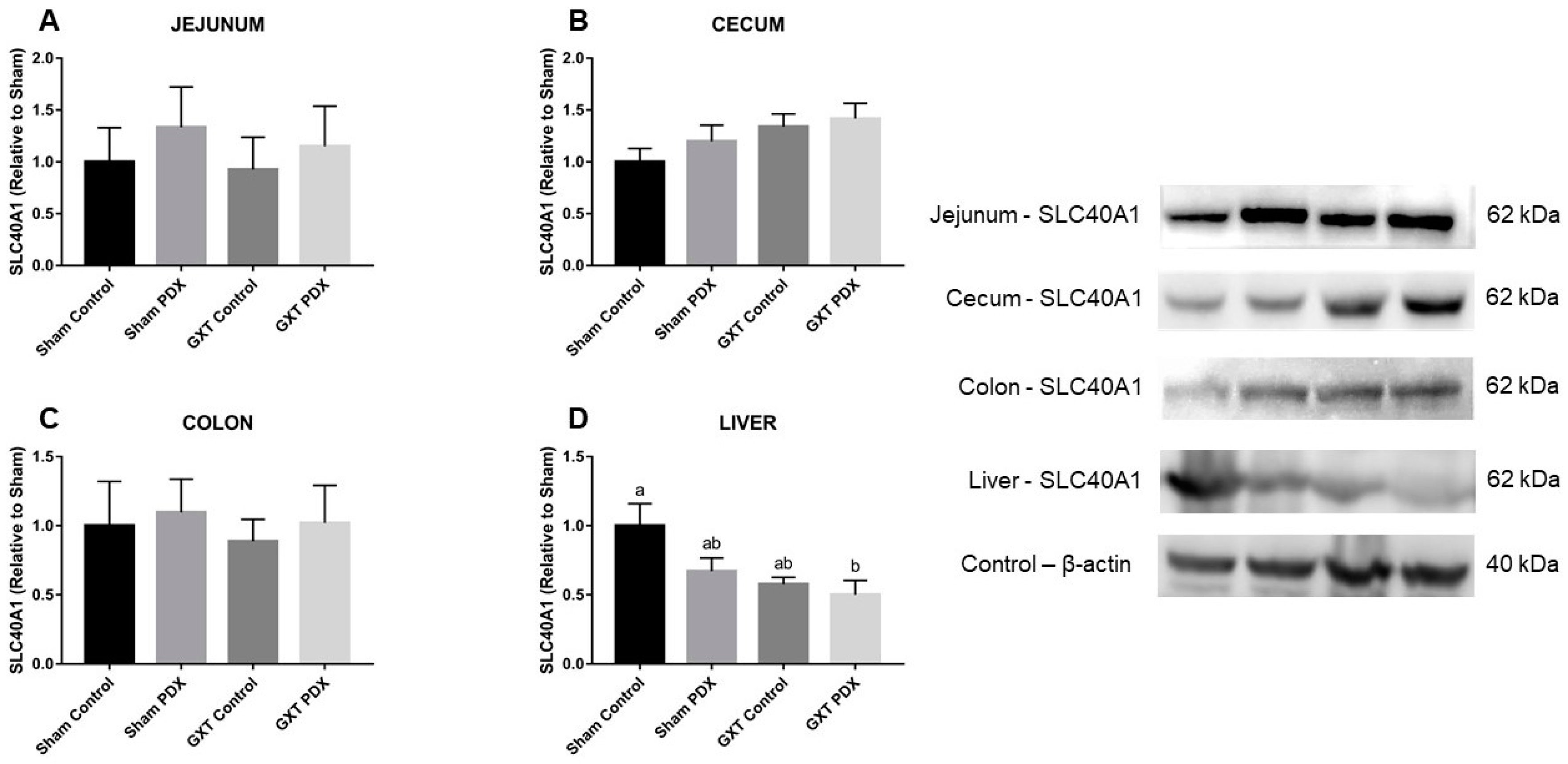 Nutrients 10 00792 g007