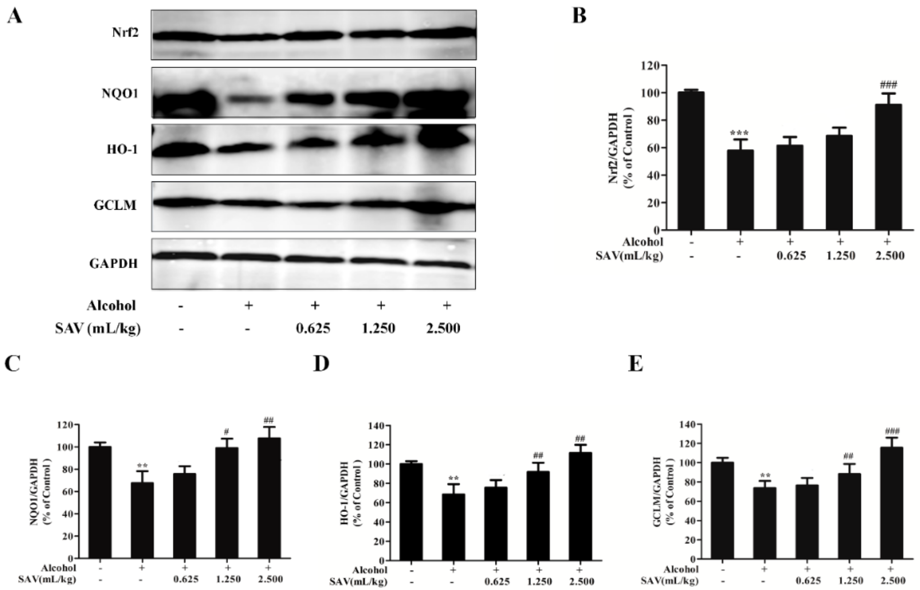Nutrients 10 00805 g003
