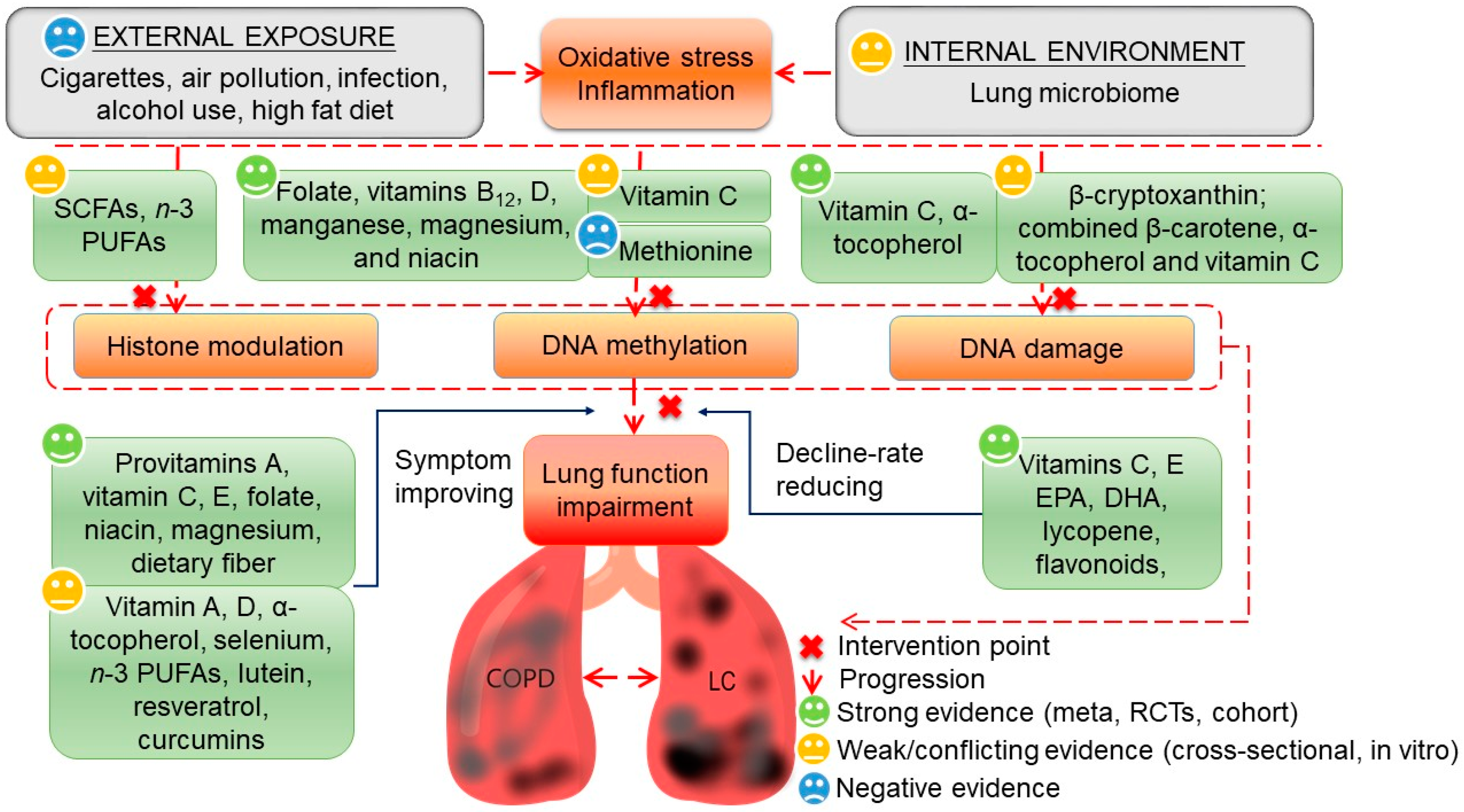 Nutrients 10 00813 g002