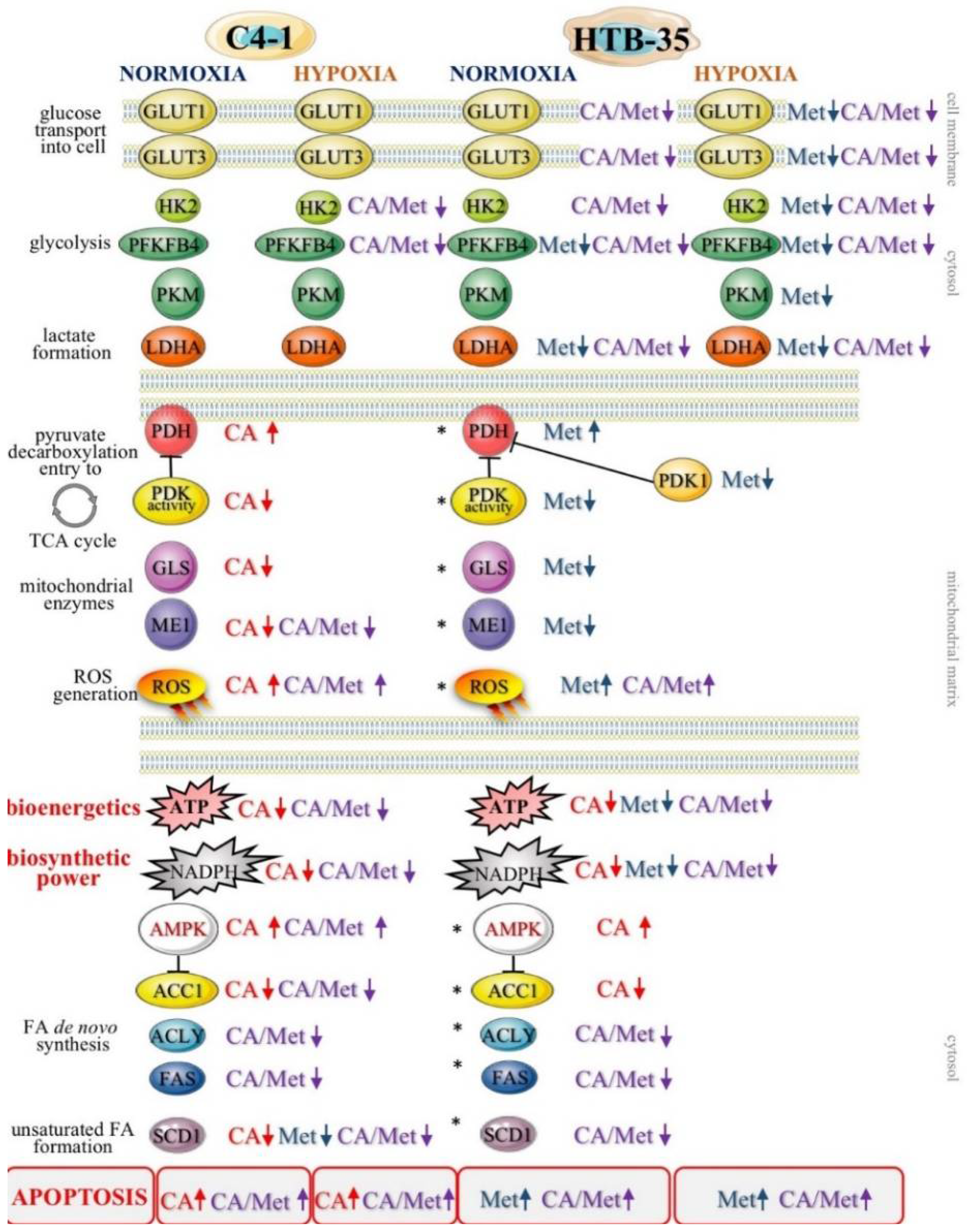 Nutrients 10 00841 g008
