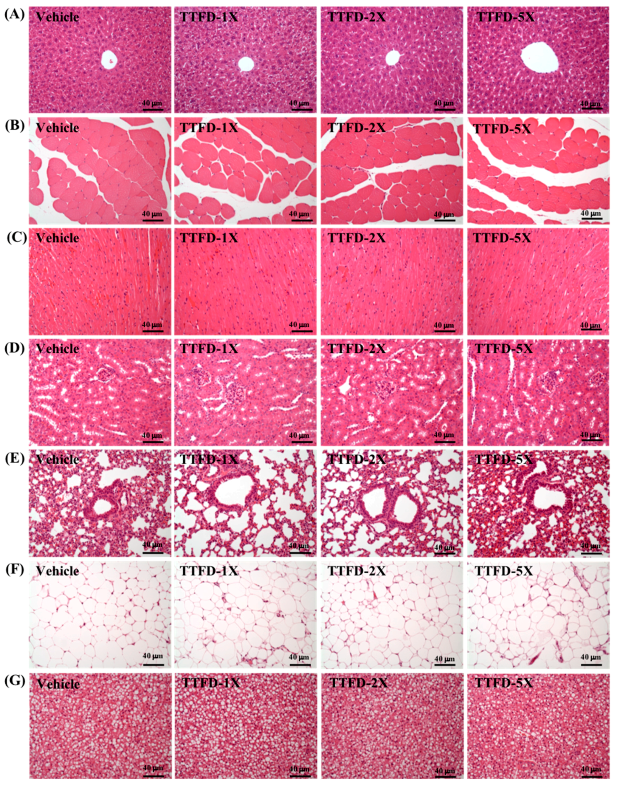 Nutrients 10 00851 g008 Nutrients 10 00851 g008