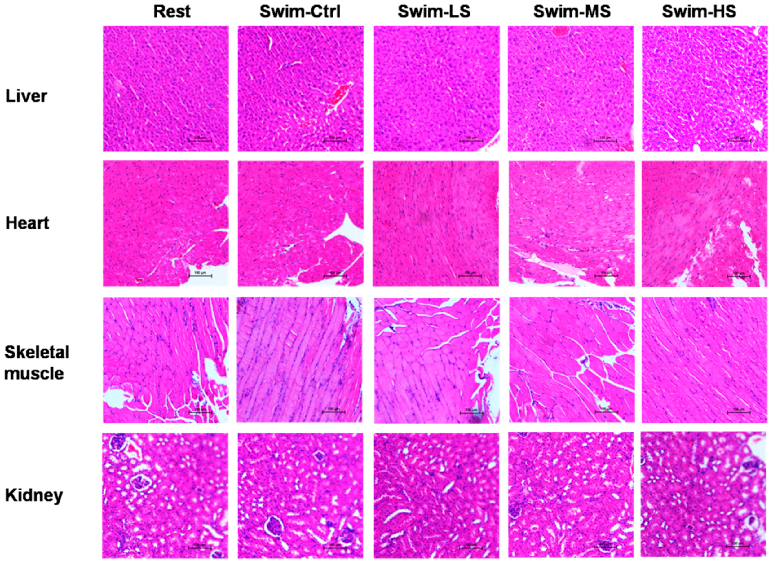 Nutrients 10 00858 g002