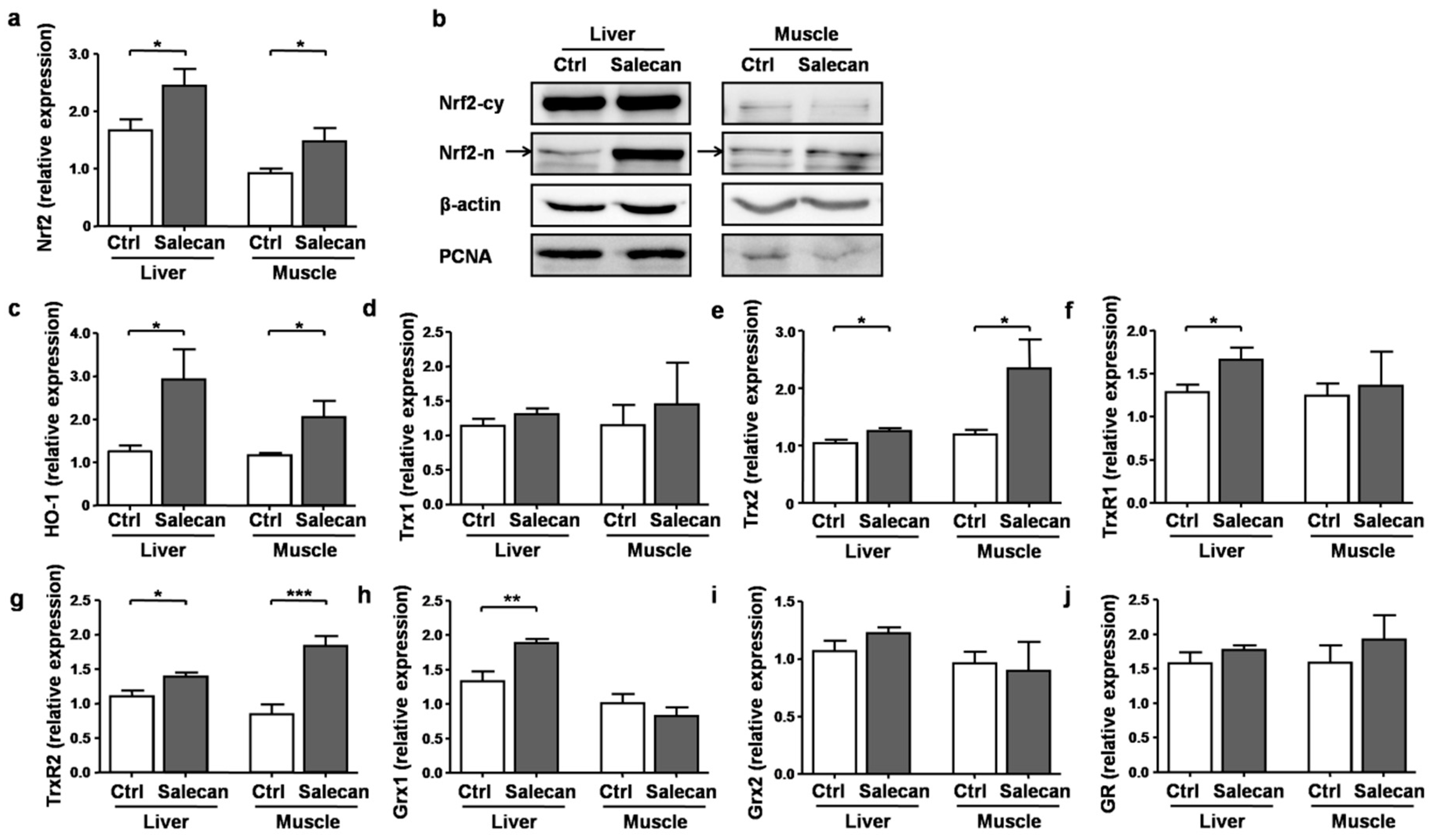Nutrients 10 00858 g007
