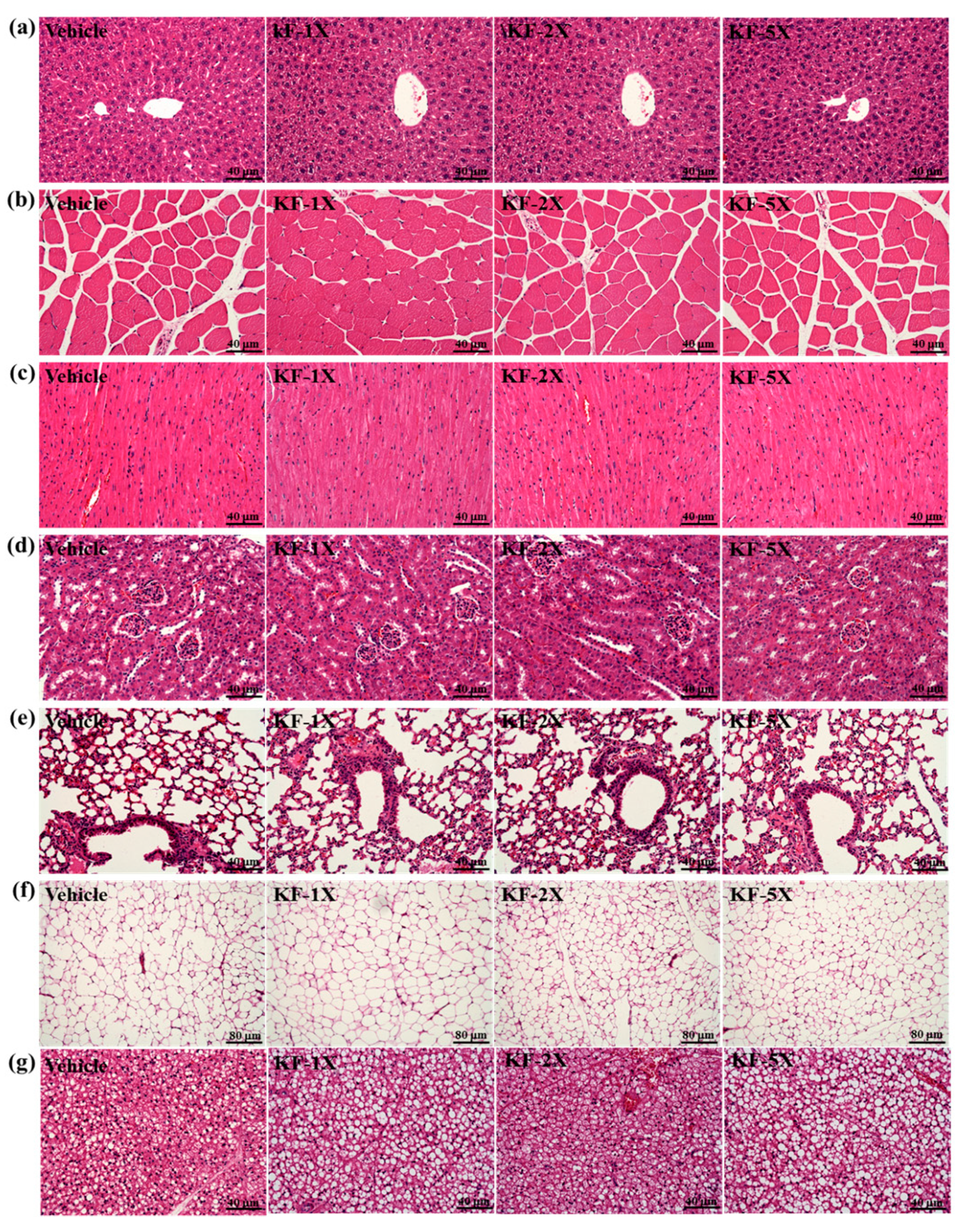 Nutrients 10 00862 g006 Nutrients 10 00862 g006