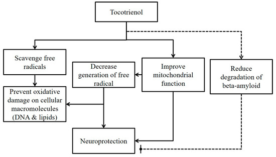 A Review on the Relationship between Tocotrienol and
