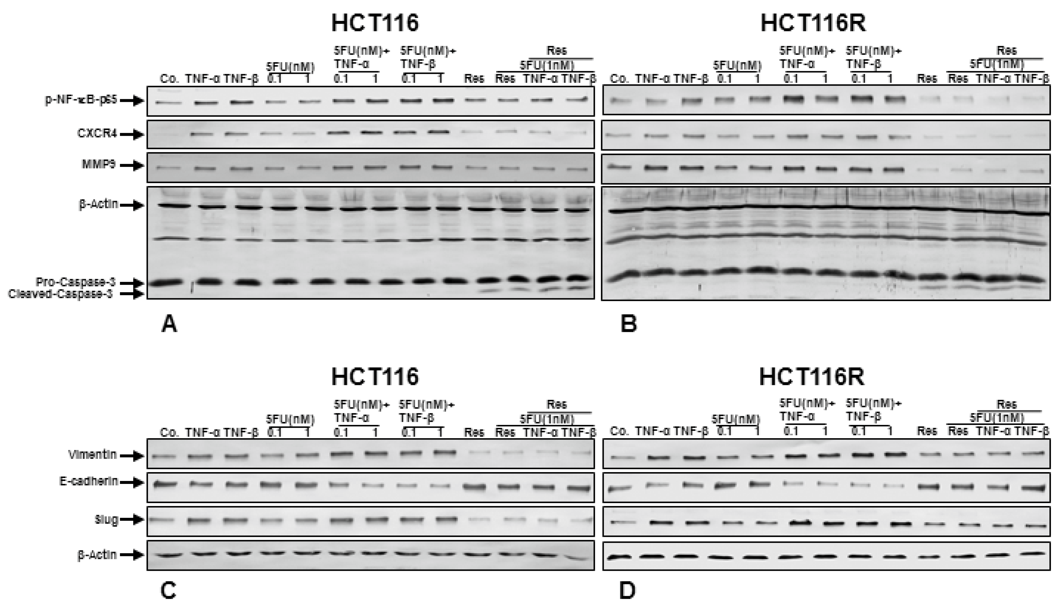 Nutrients 10 00888 g005