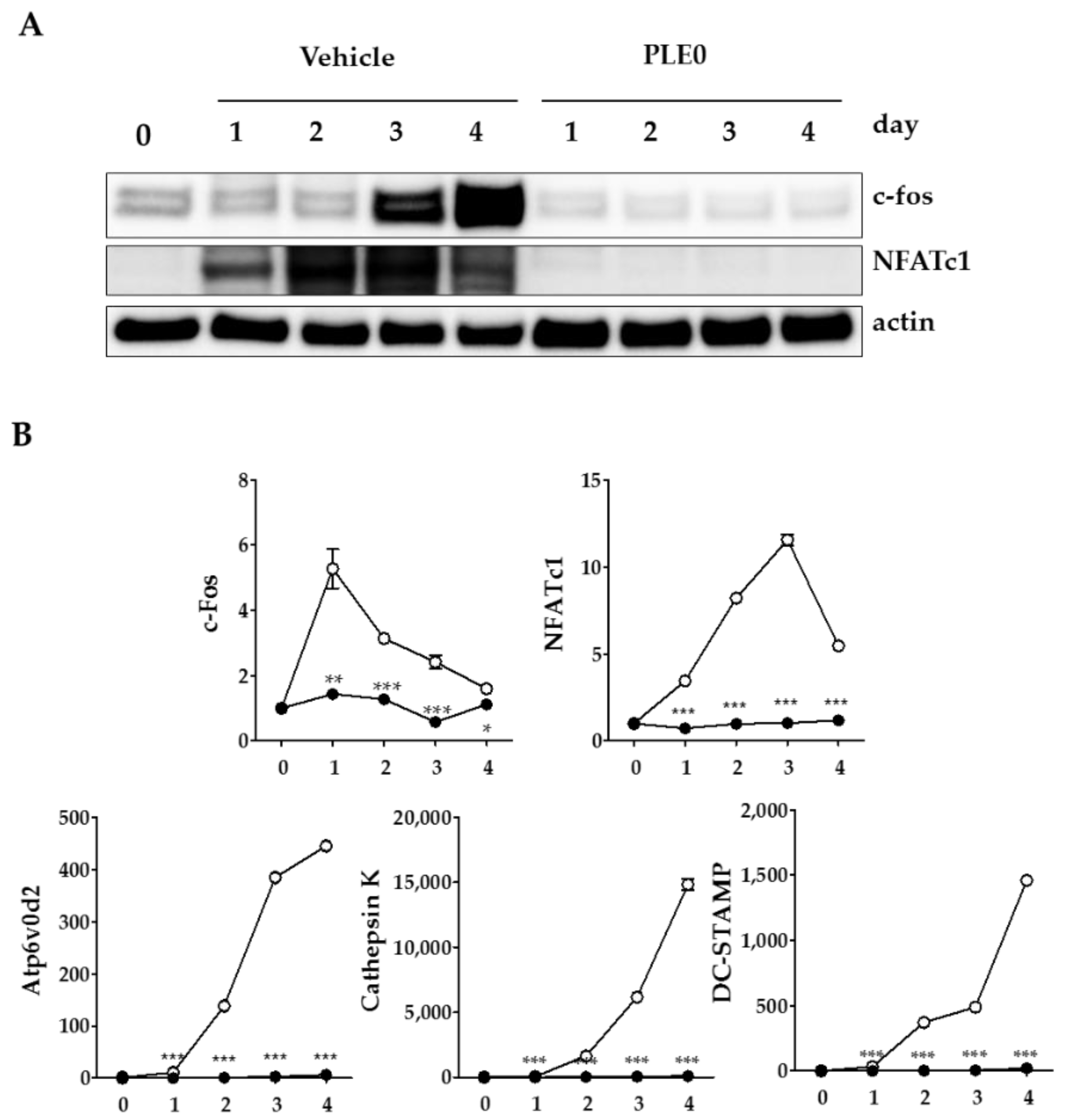 Nutrients 10 00901 g004