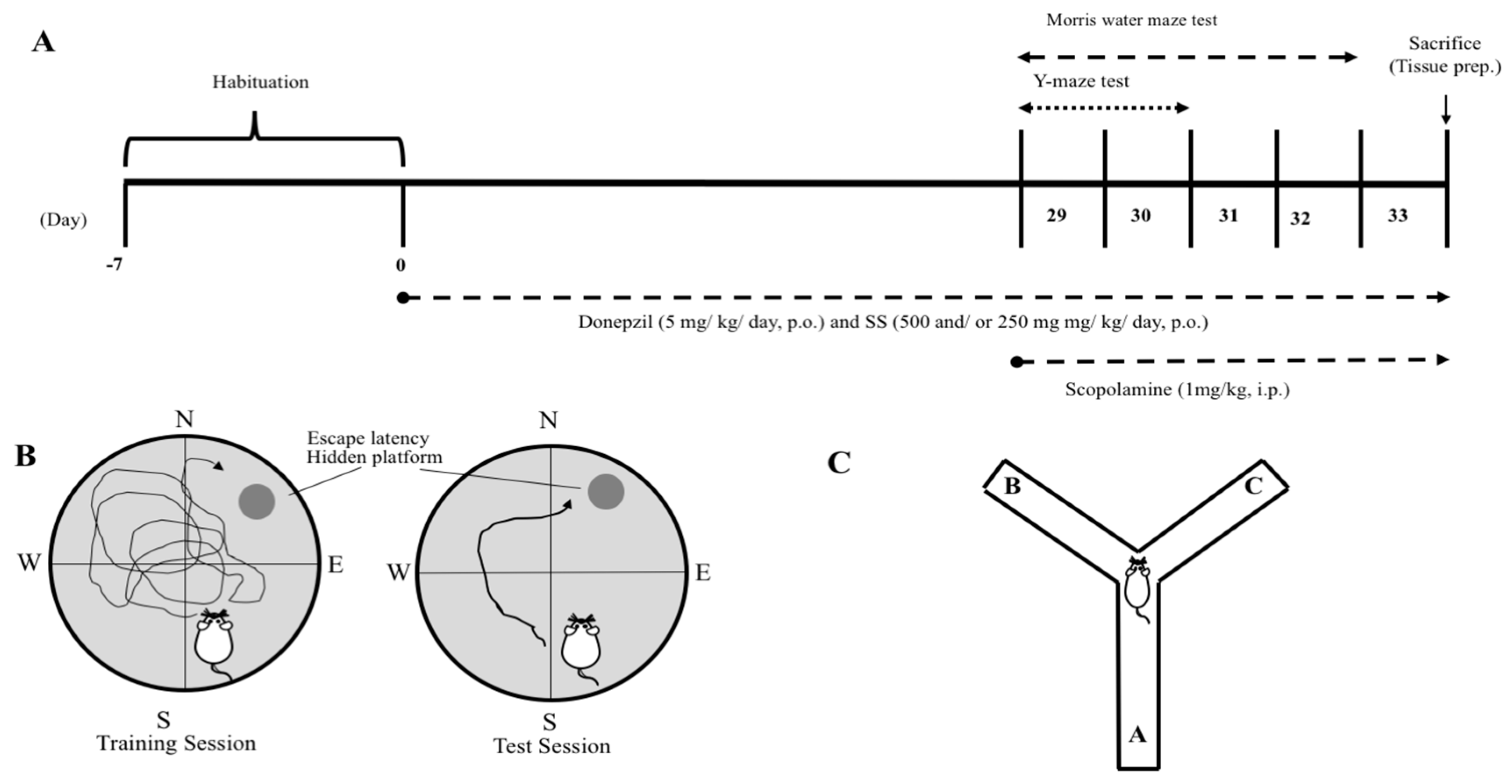 how to set zone position in any-maze how to set zone position in any-maze