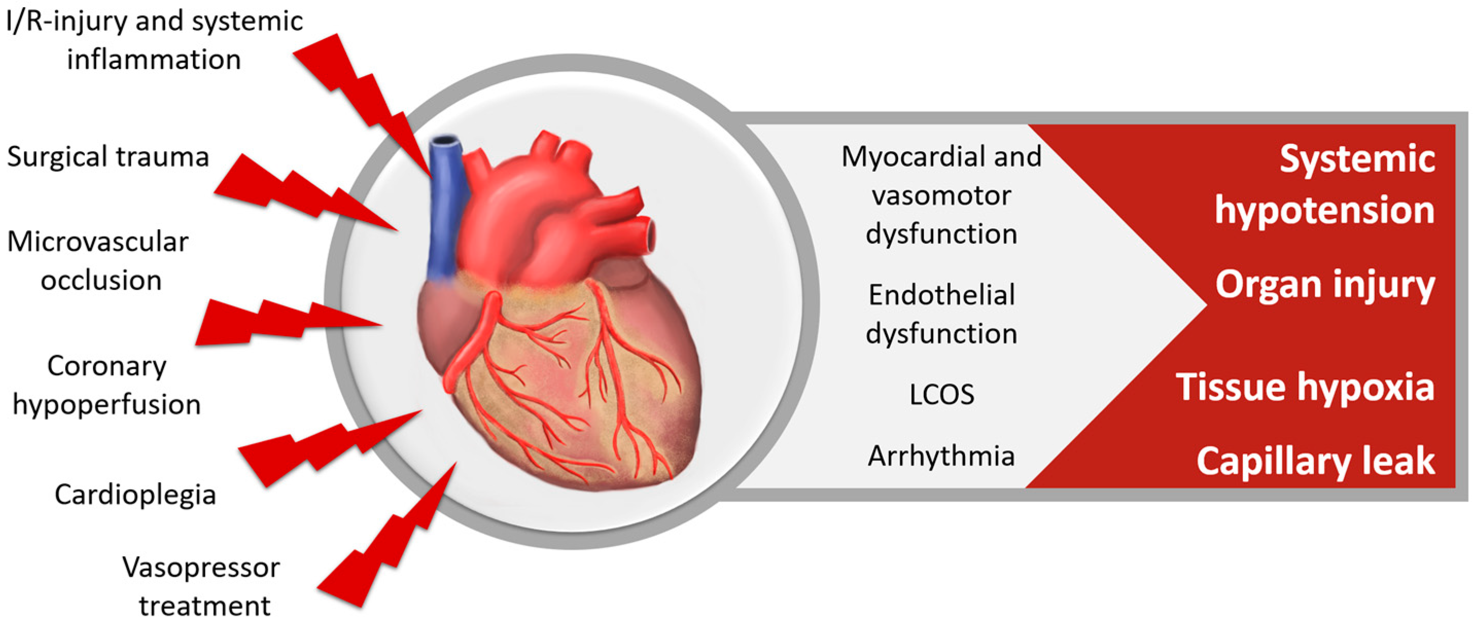 Nutrients Free FullText Vitamin C to Improve Organ Dysfunction in Cardiac Surgery Patients