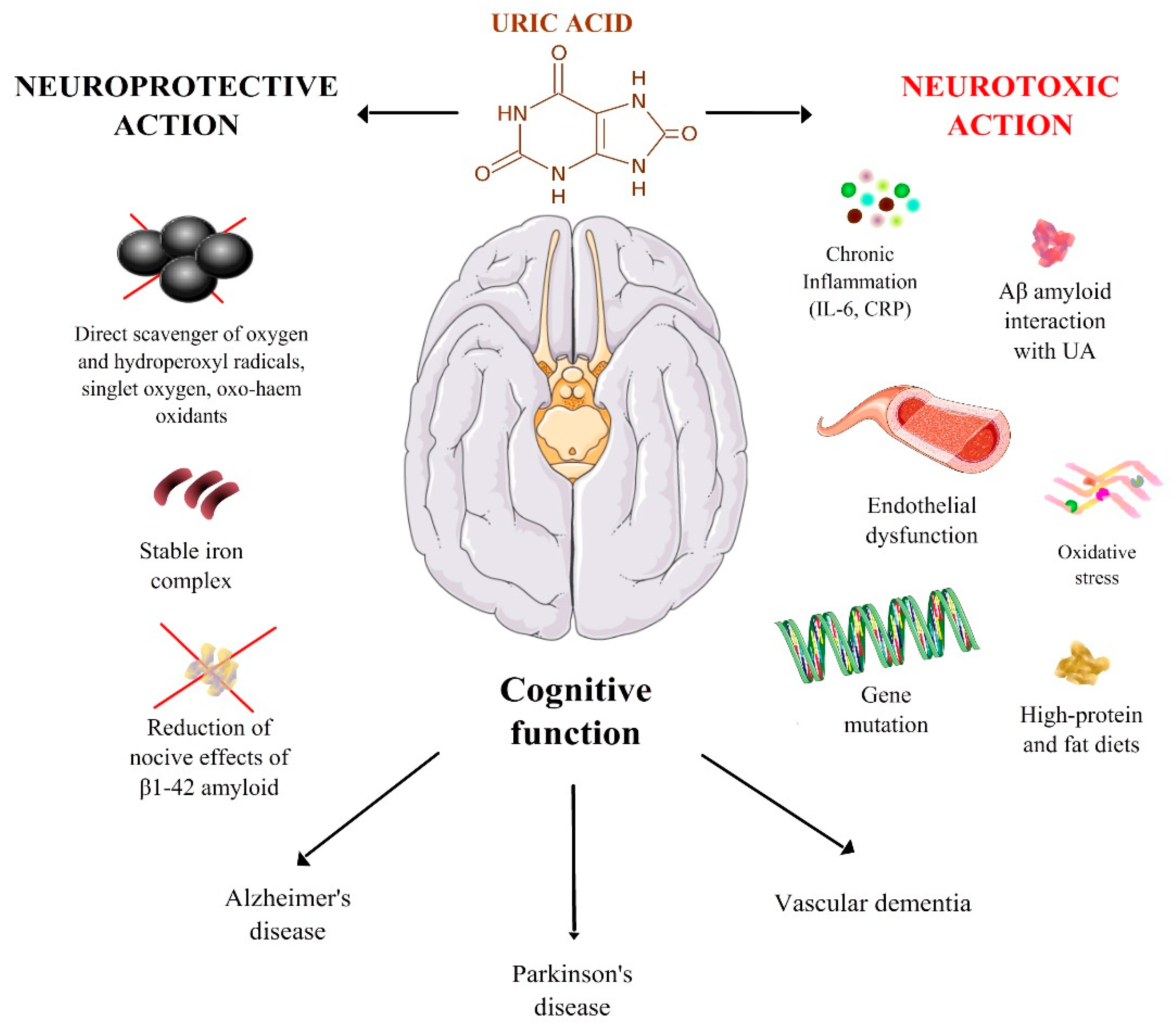 Nutrients 10 00975 g001 Nutrients 10 00975 g001