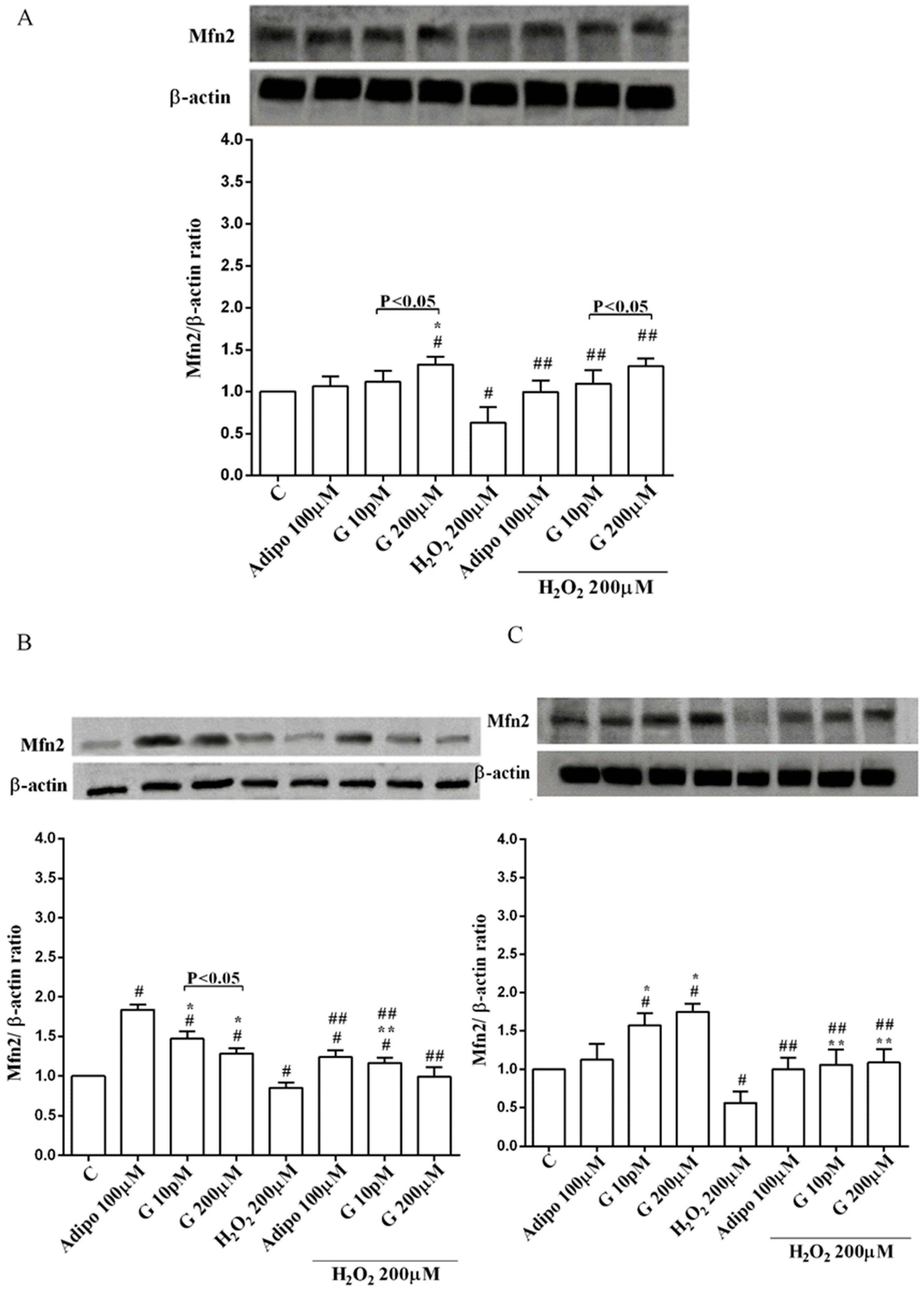Nutrients 10 00978 g009 Nutrients 10 00978 g009