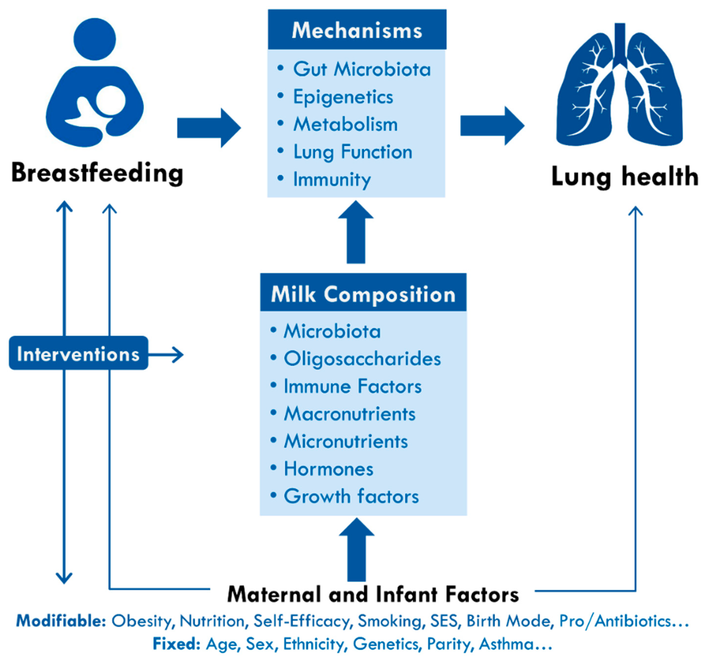antibiotics breastfeeding