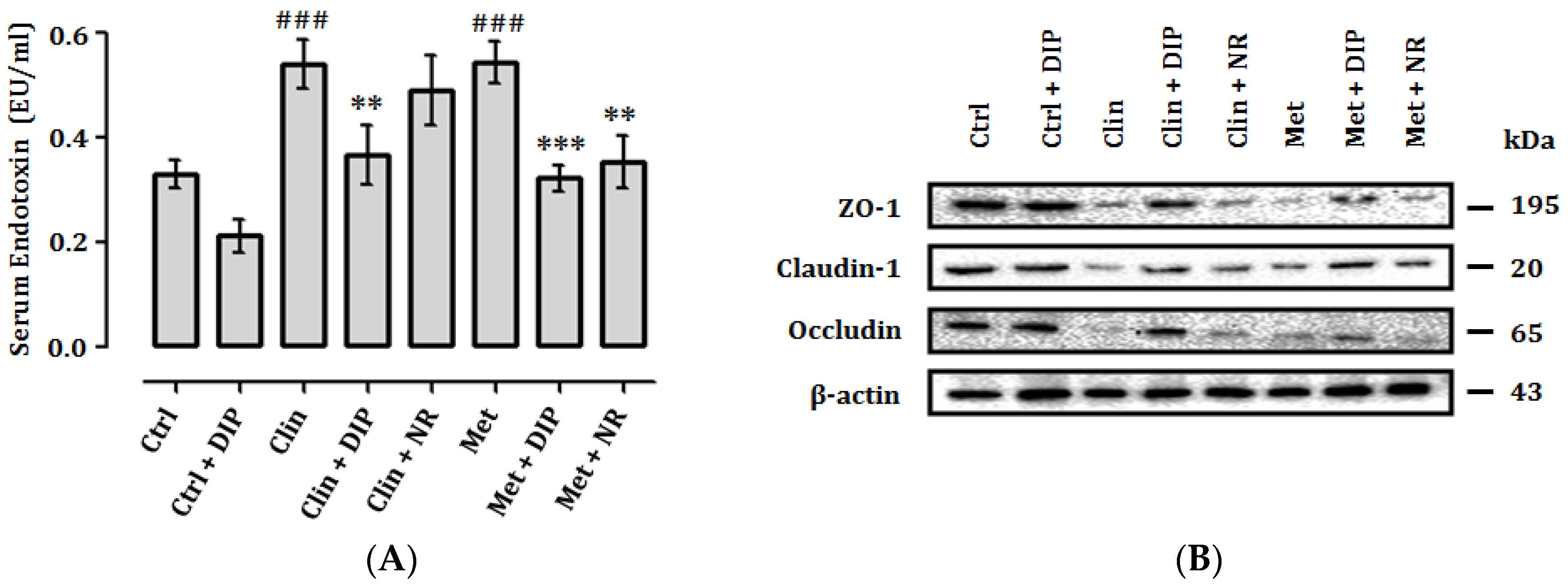 Nutrients 10 01003 g008 Nutrients 10 01003 g008