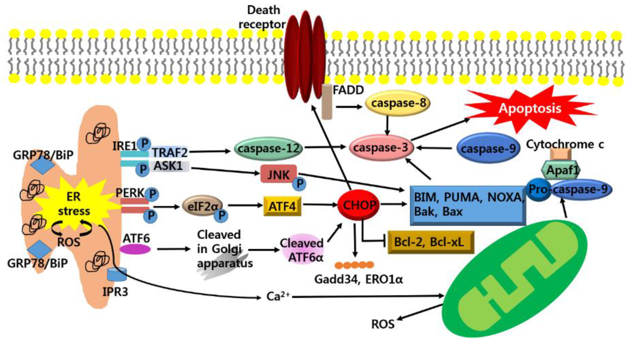 Nutrients 10 01021 g002