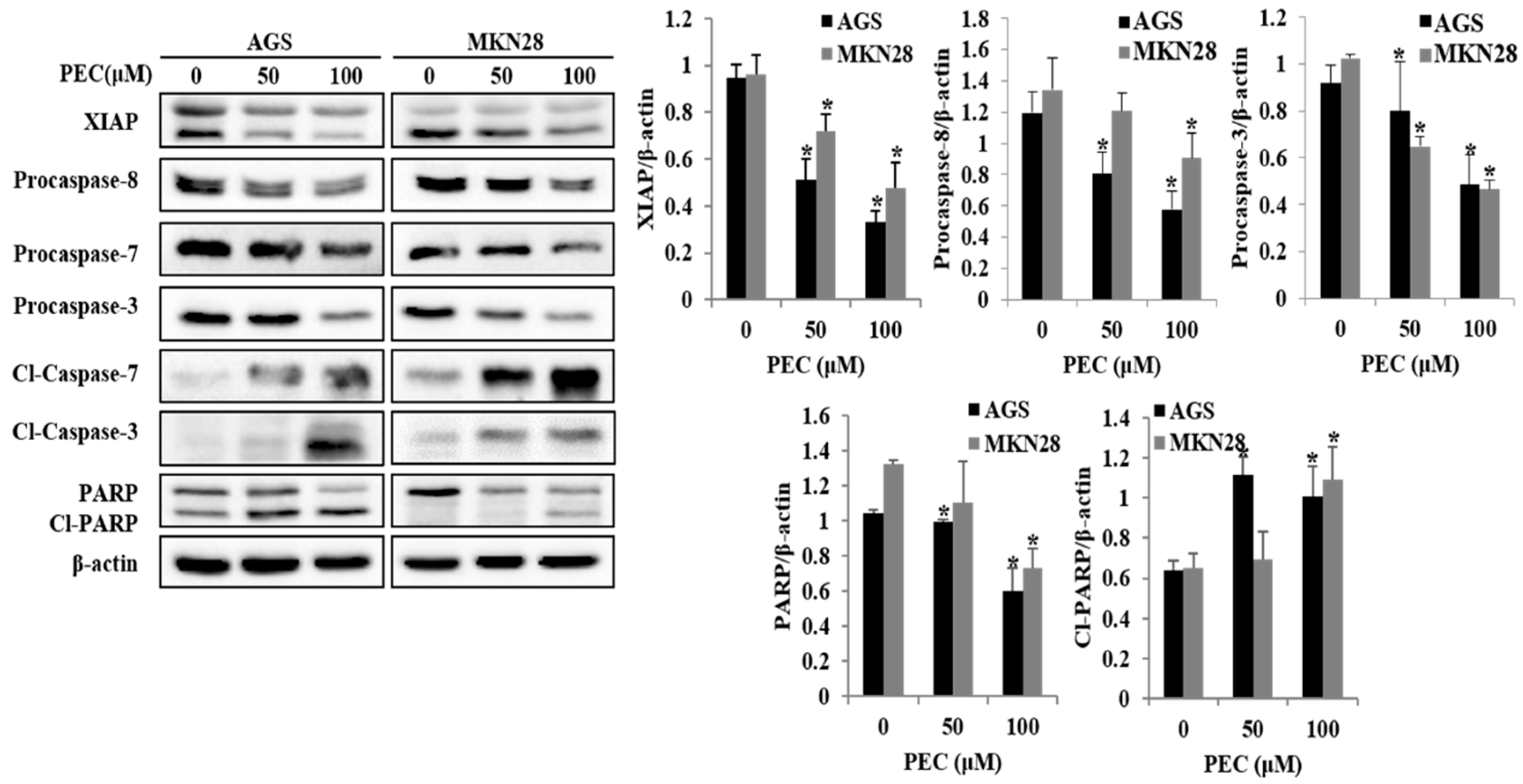 Nutrients 10 01043 g004