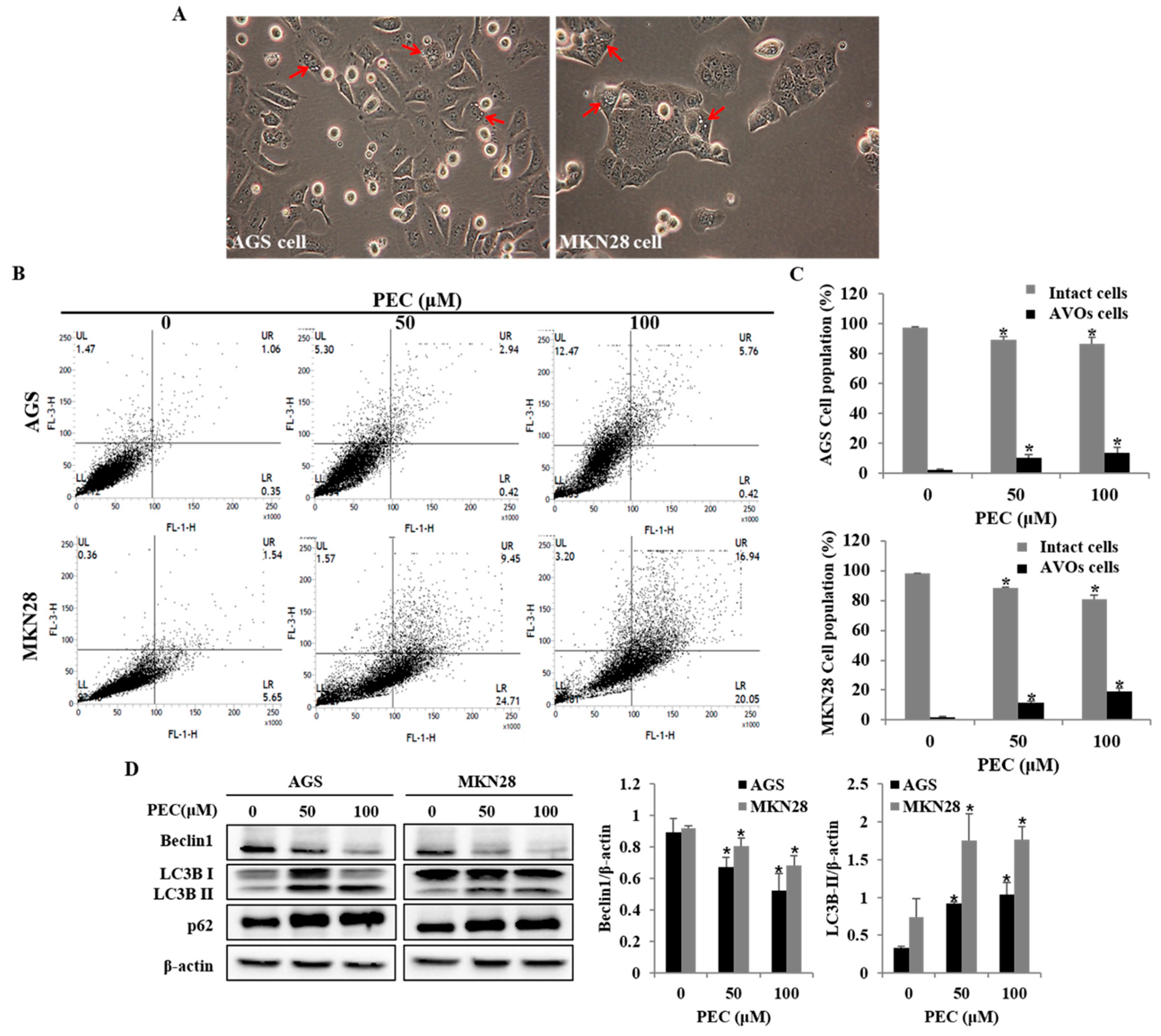 Nutrients 10 01043 g005